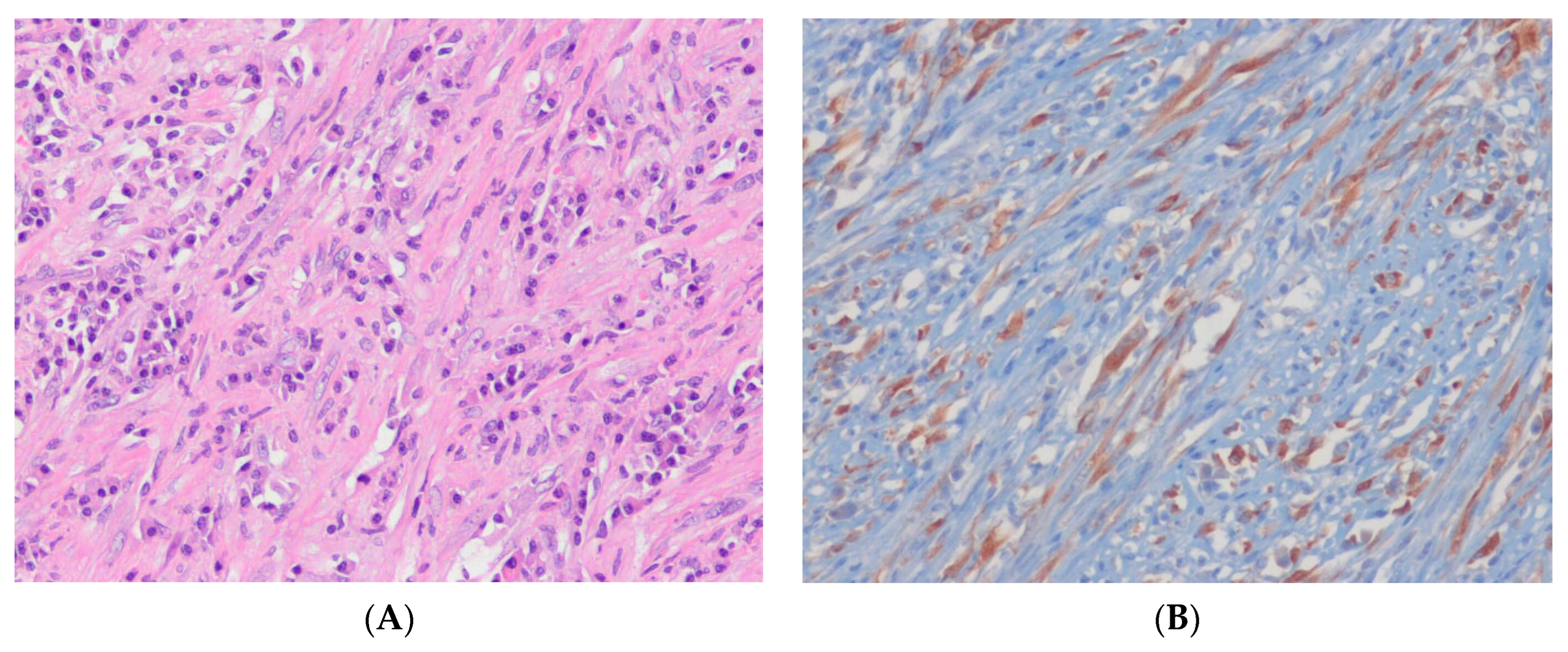 Ijms 24 05934 g003 Ijms 24 05934 g003