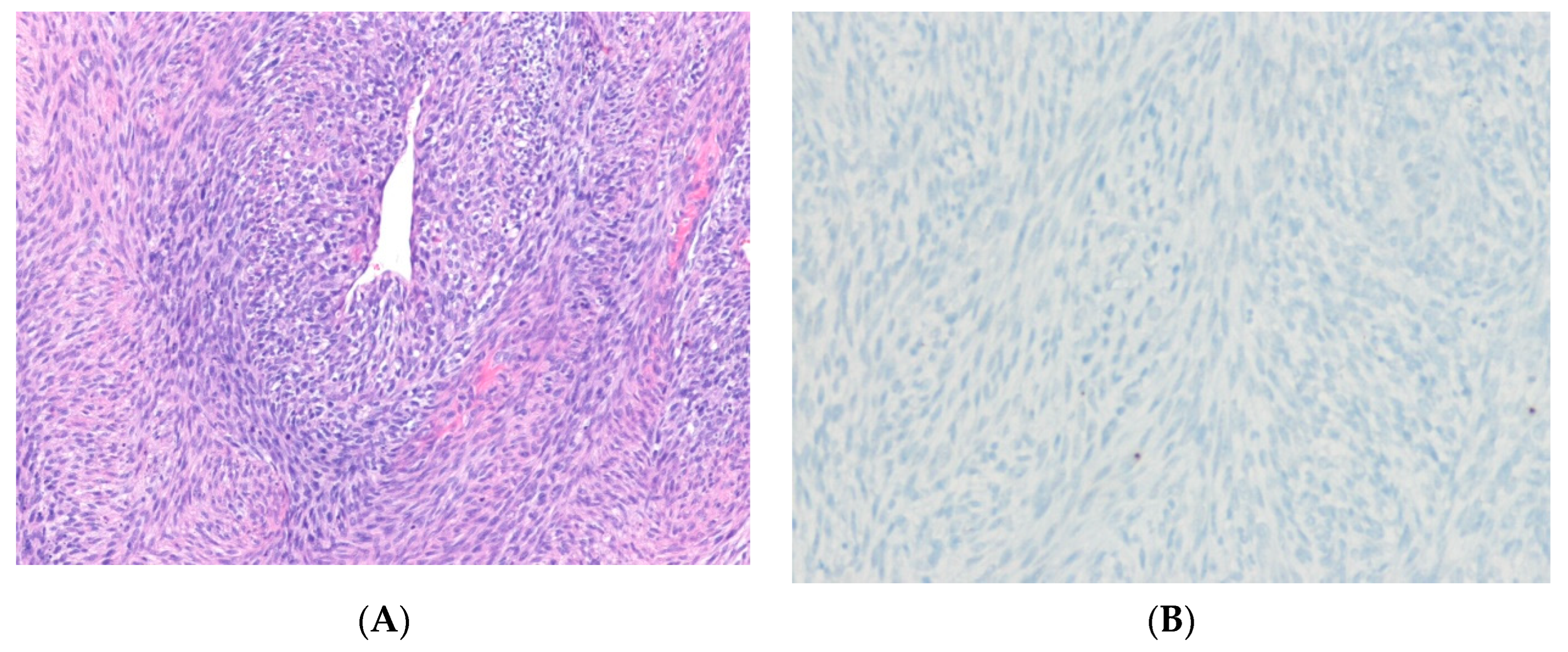 Ijms 24 05934 g006 Ijms 24 05934 g006