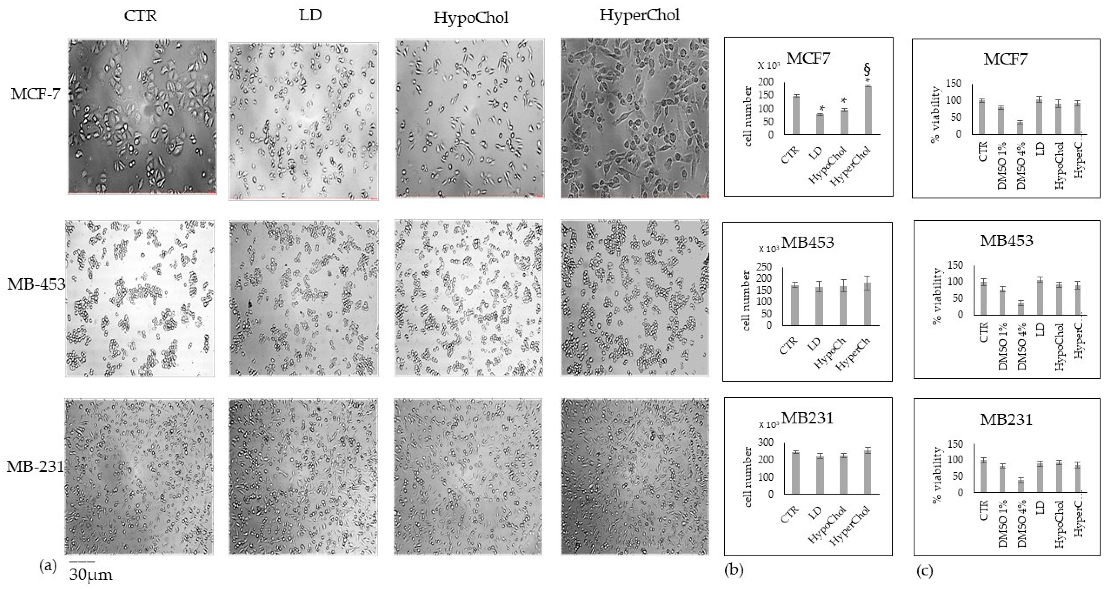 Ijms 24 05935 g001 Ijms 24 05935 g001