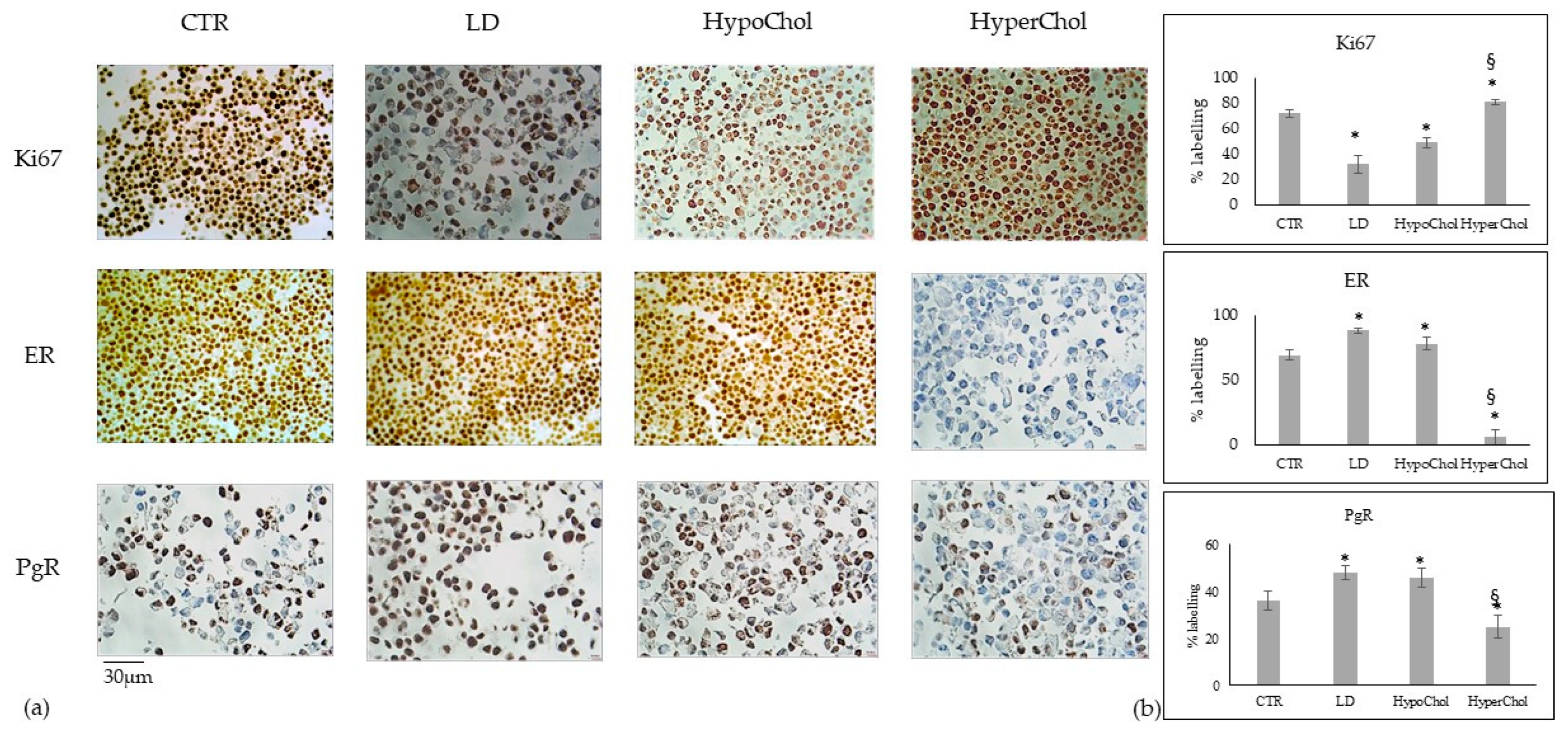 Ijms 24 05935 g003 Ijms 24 05935 g003