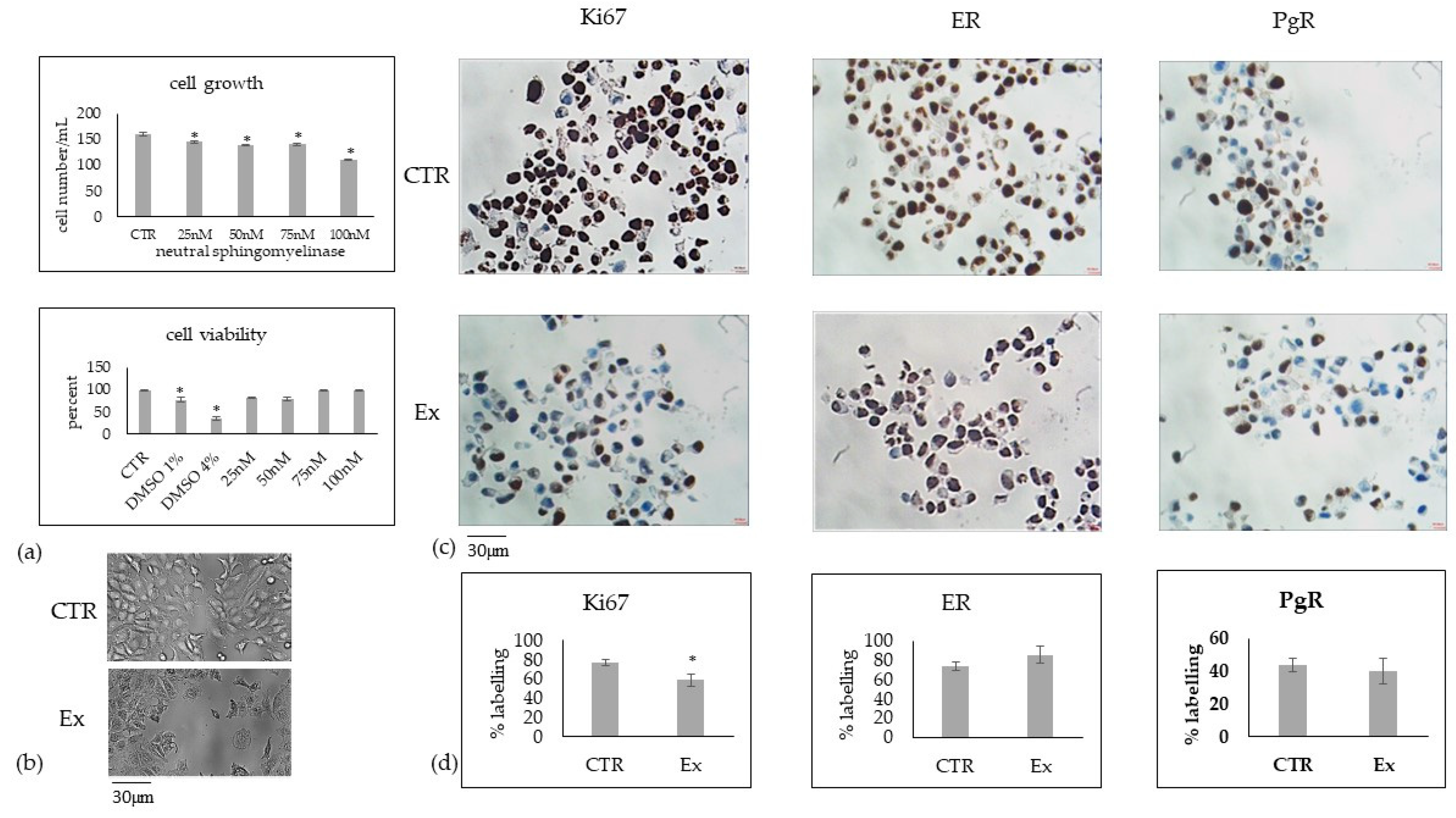 Ijms 24 05935 g007 Ijms 24 05935 g007