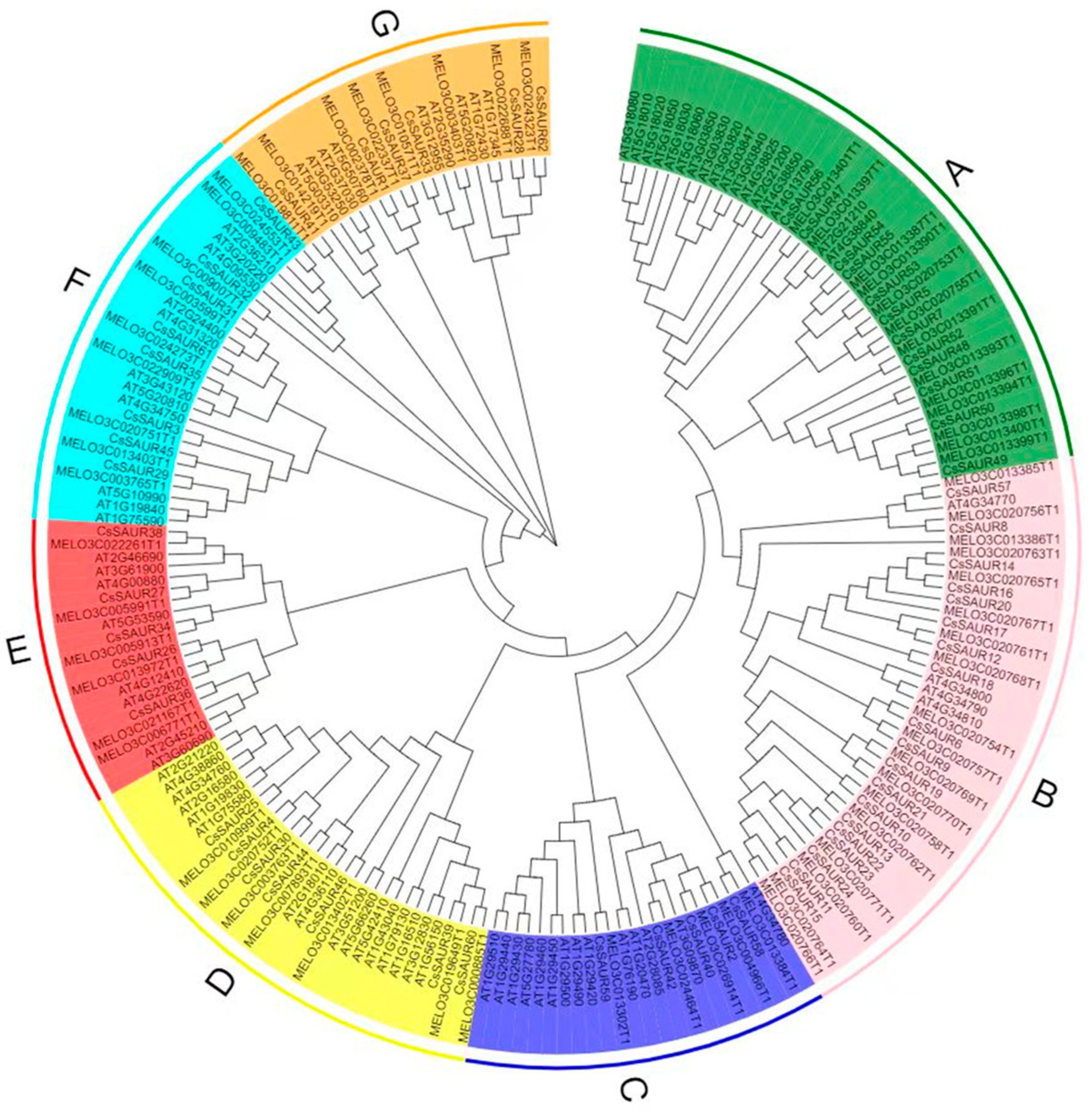Ijms 24 05940 g001 Ijms 24 05940 g001