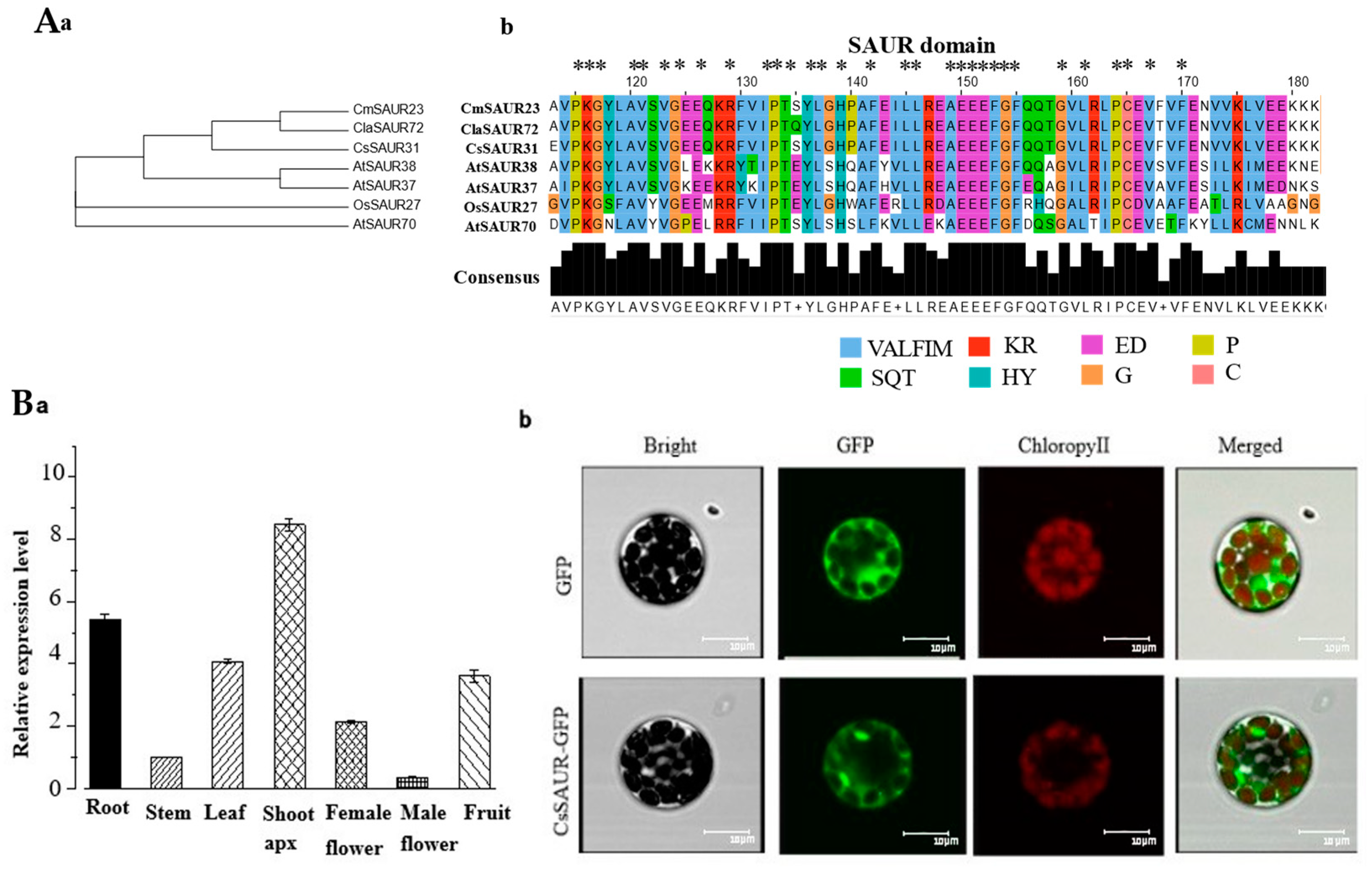 Ijms 24 05940 g006 Ijms 24 05940 g006