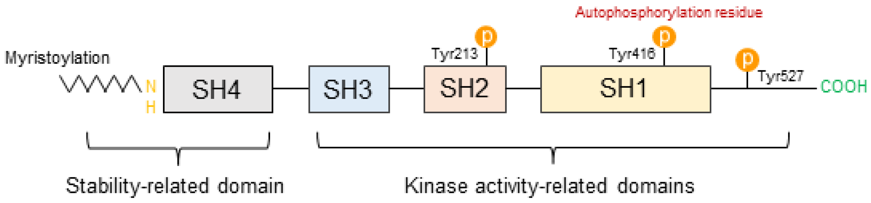 Ijms 24 05953 g001 Ijms 24 05953 g001