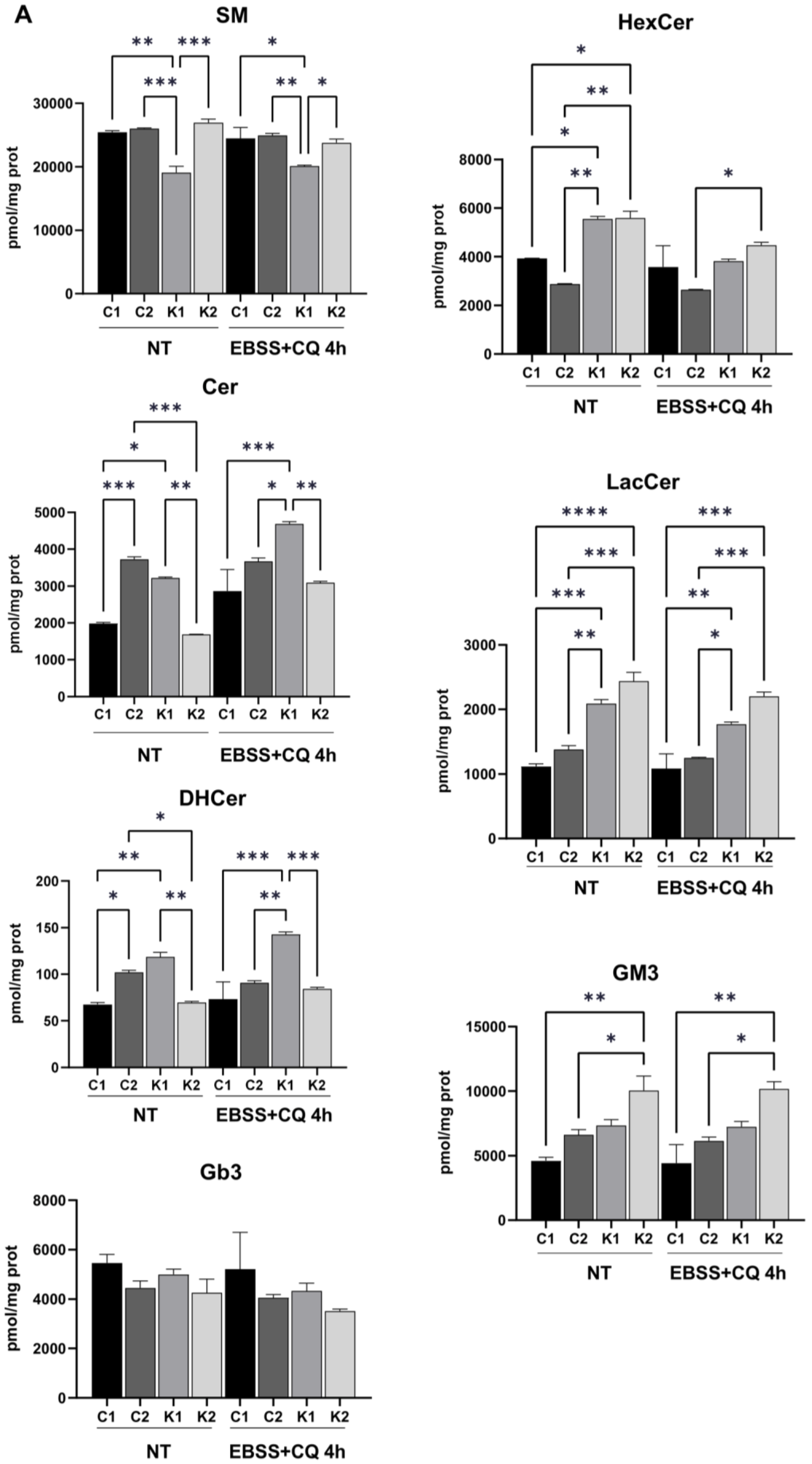 Ijms 24 05984 g005a Ijms 24 05984 g005a