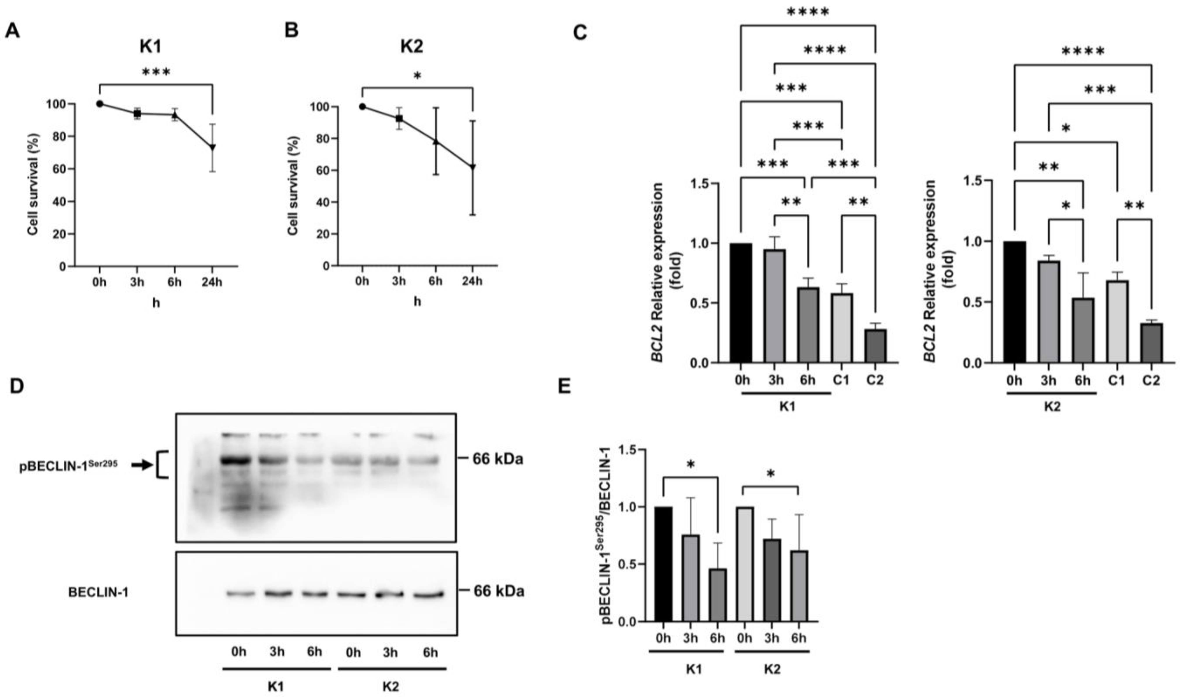 Ijms 24 05984 g007 Ijms 24 05984 g007
