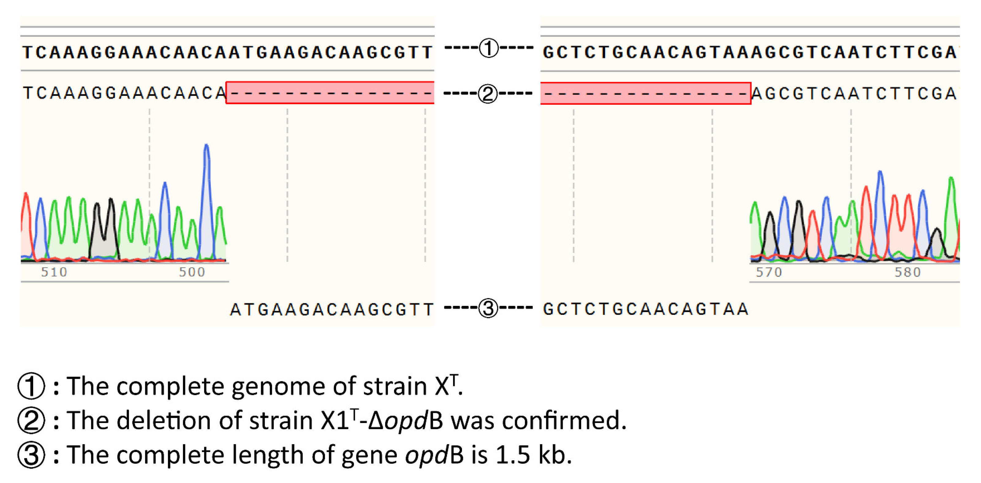 Ijms 24 06003 g0a1 Ijms 24 06003 g0a1