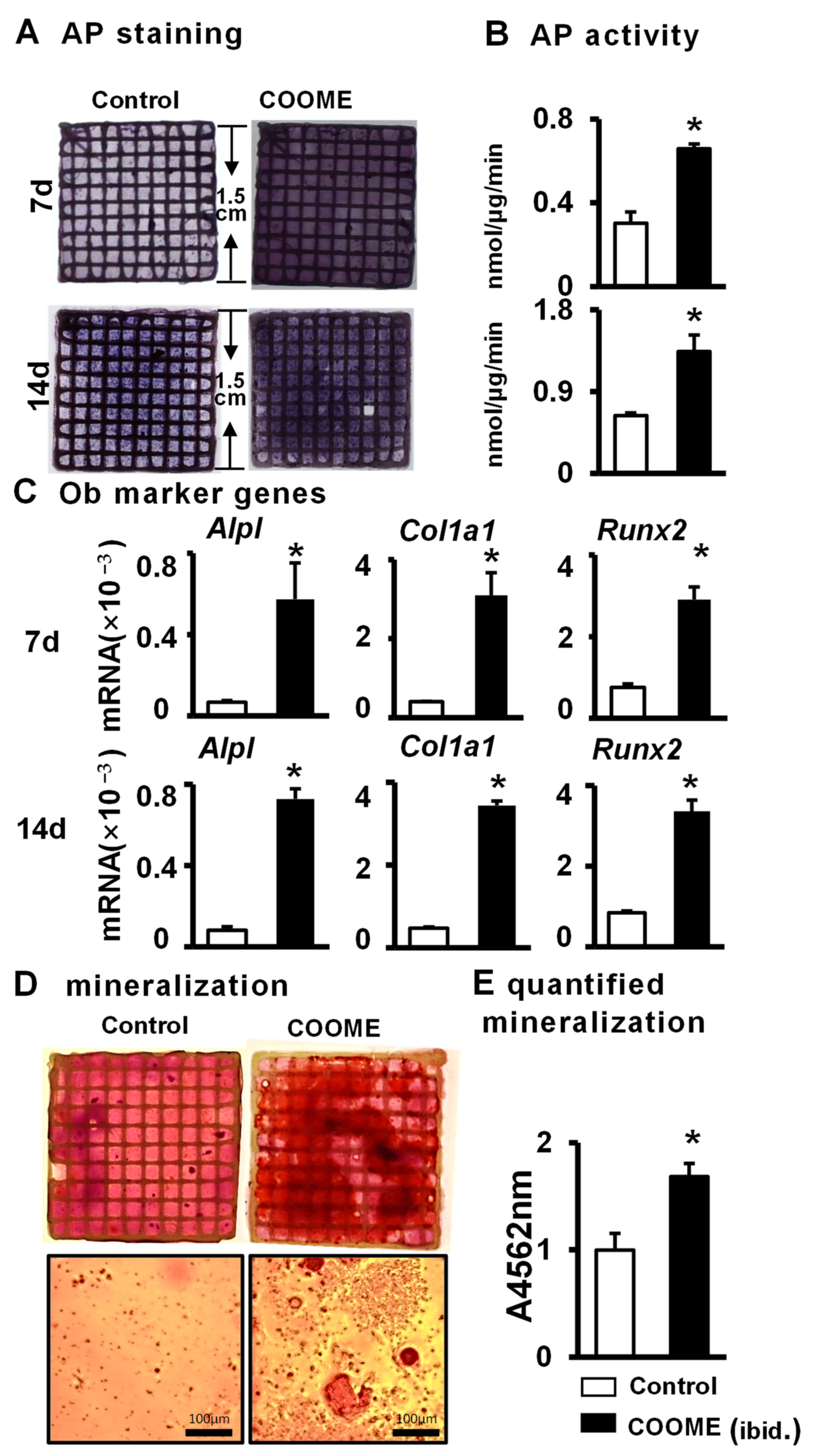 Ijms 24 06008 g006 Ijms 24 06008 g006