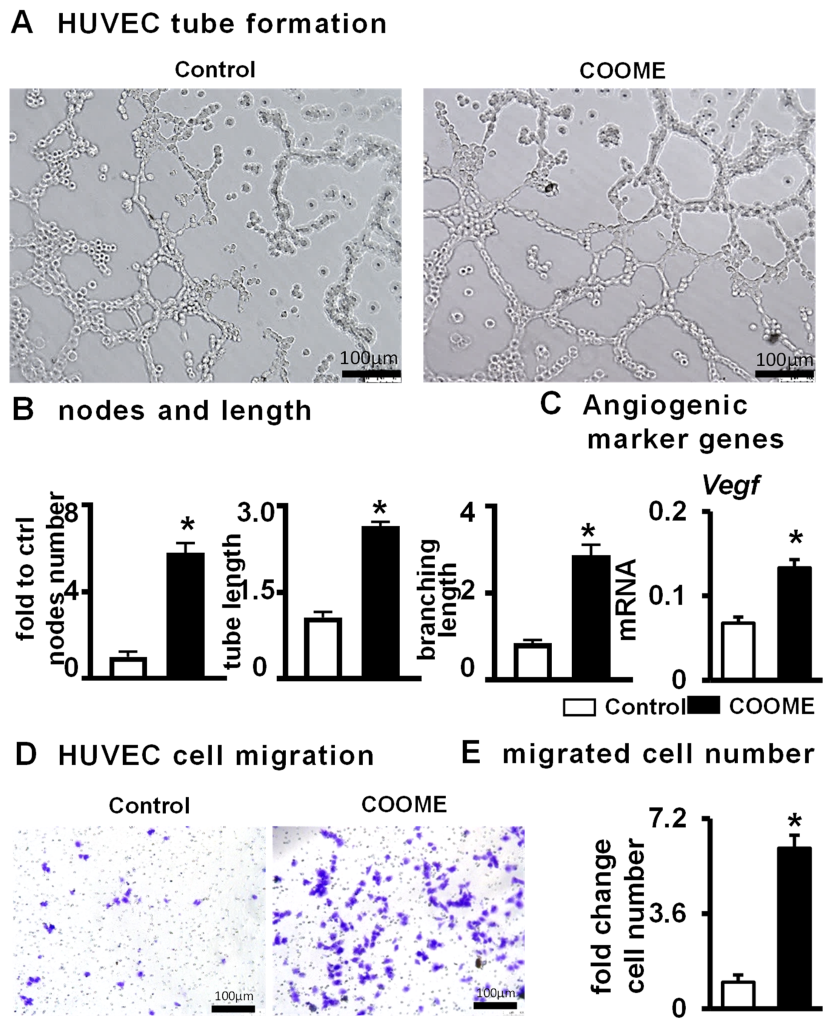 Ijms 24 06008 g007 Ijms 24 06008 g007