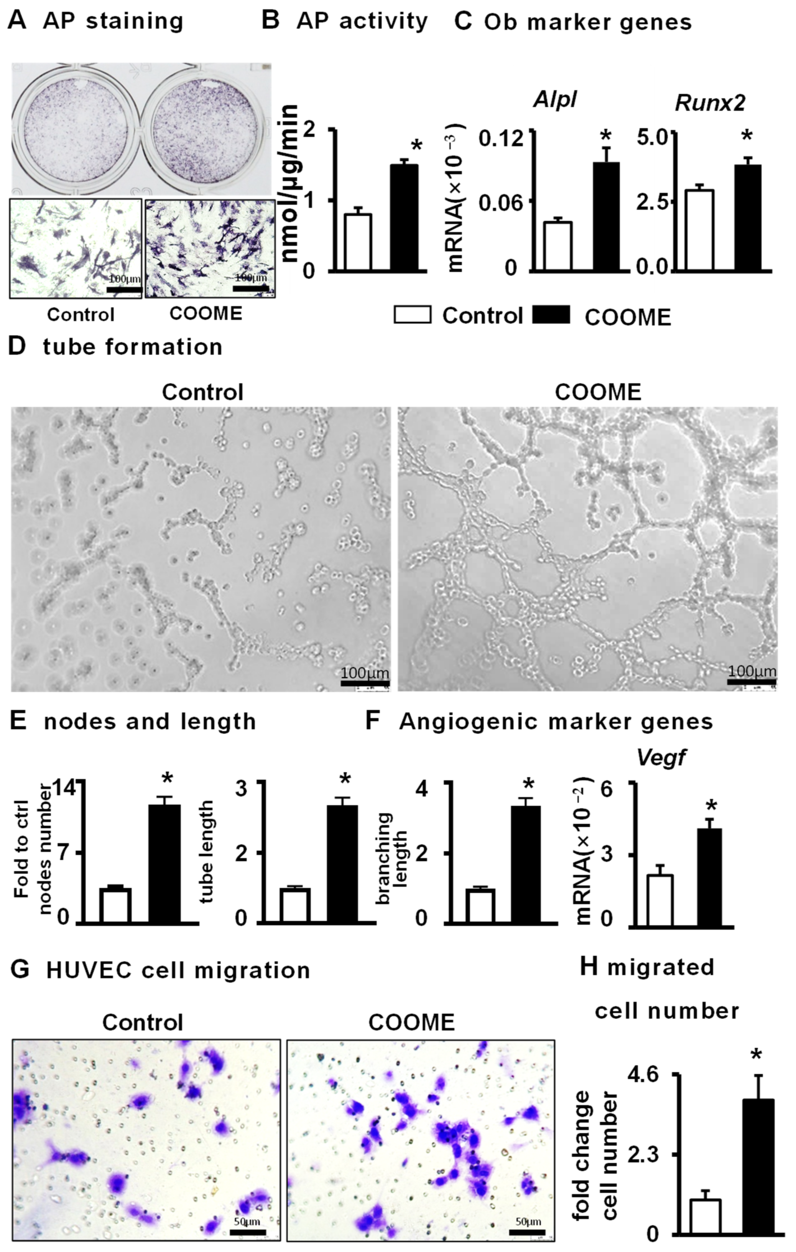 Ijms 24 06008 g008 Ijms 24 06008 g008
