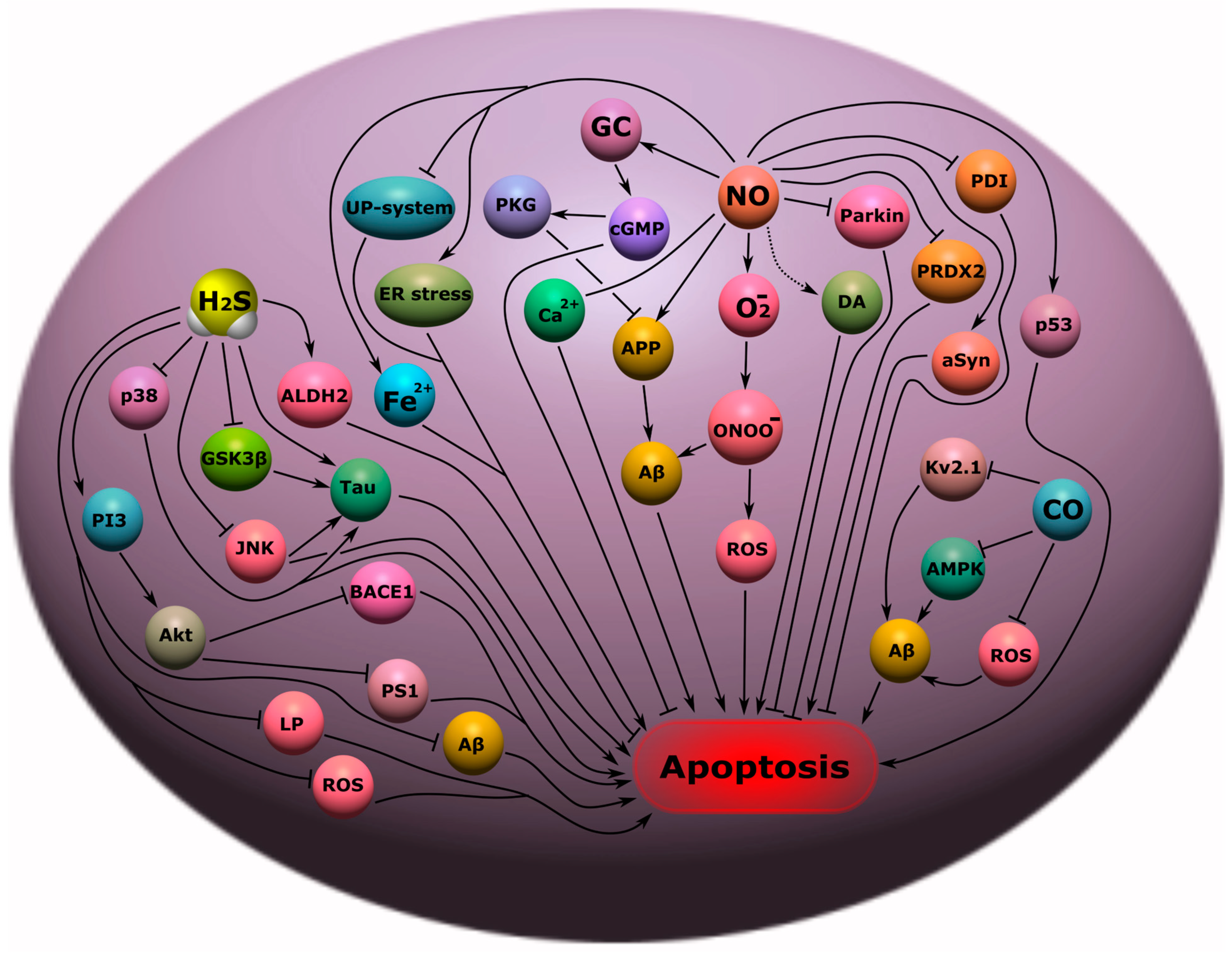 Ijms 24 06014 g009 Ijms 24 06014 g009