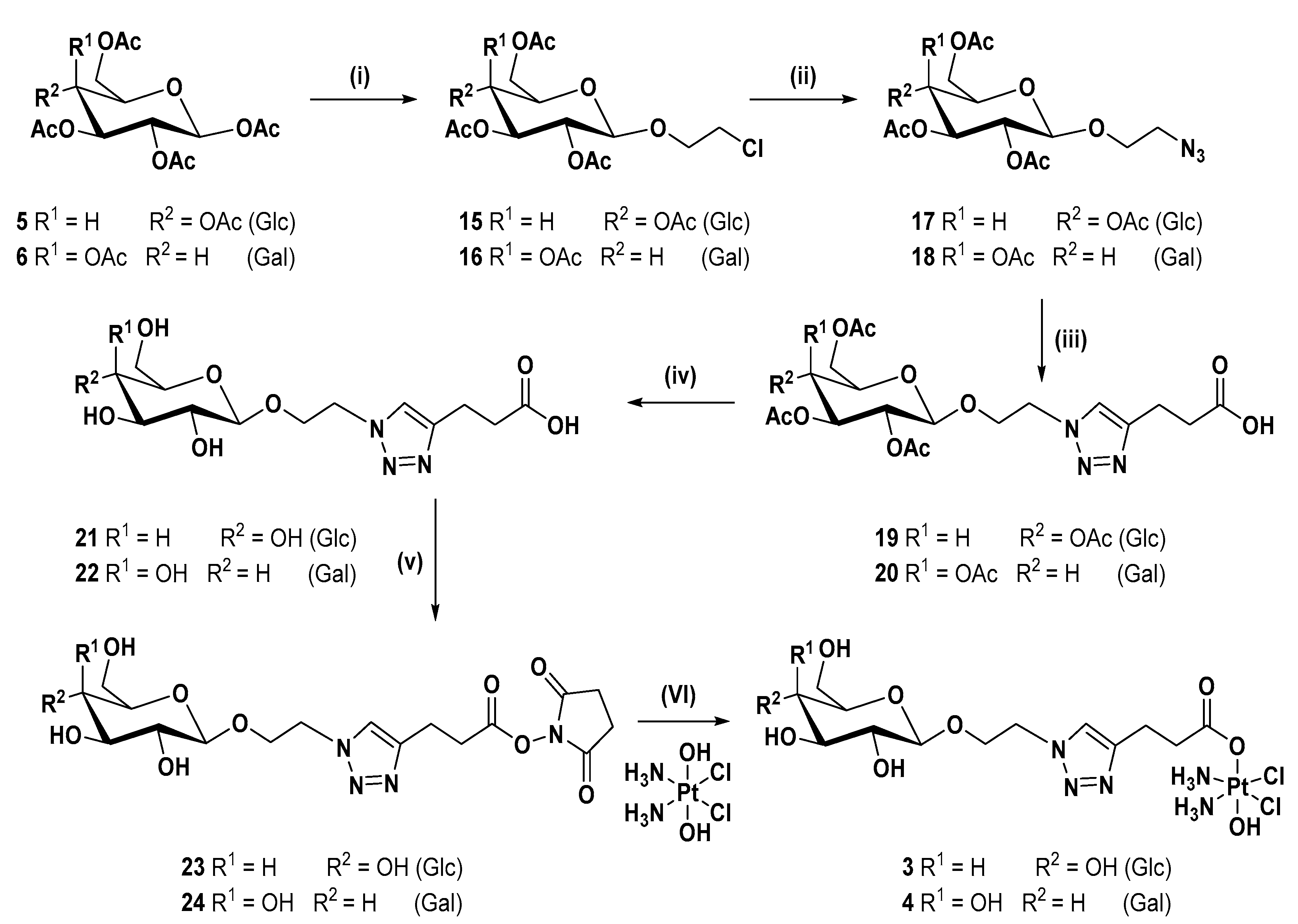 Ijms 24 06028 sch002 Ijms 24 06028 sch002
