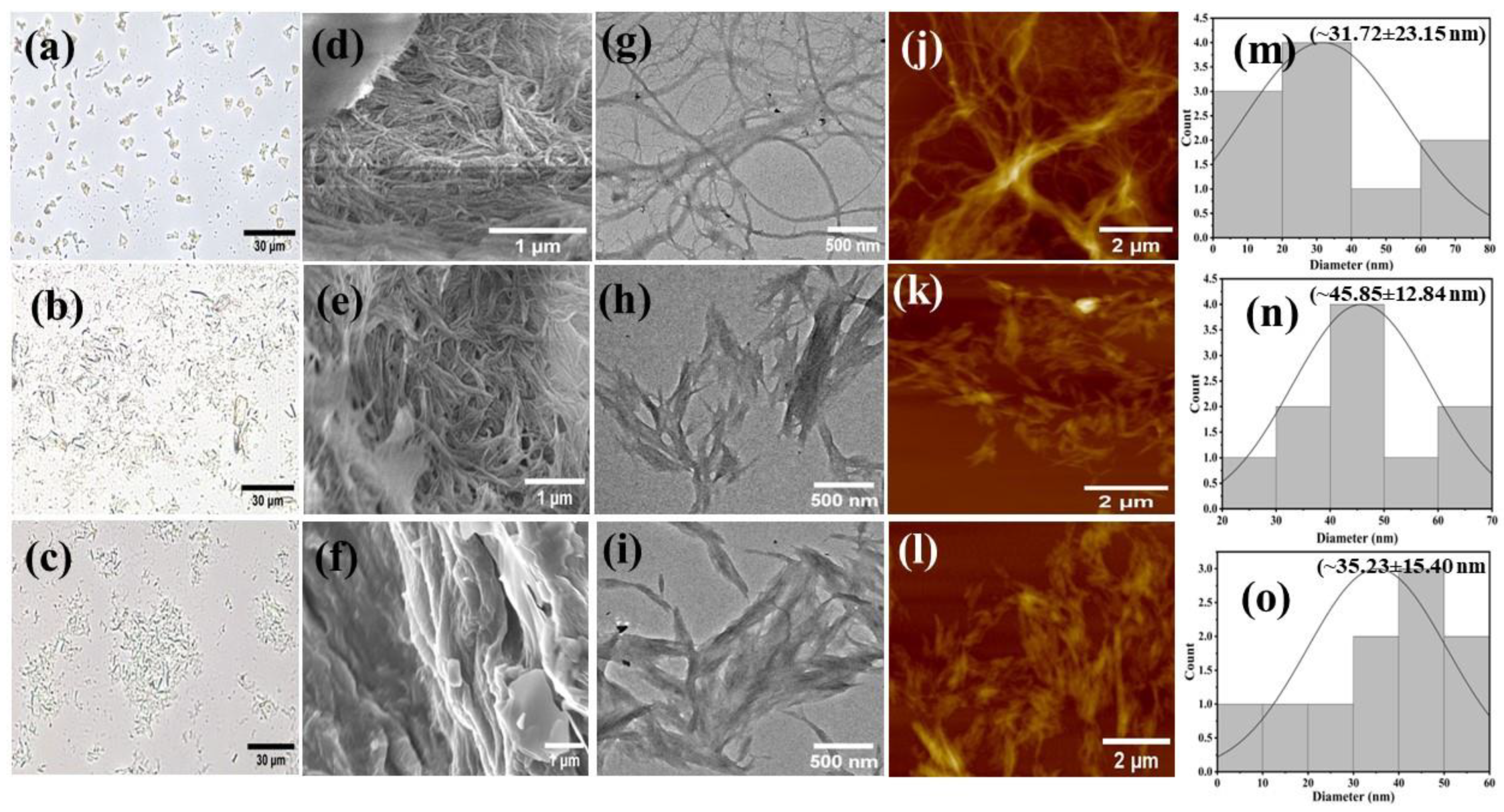 Ijms 24 06030 g002 Ijms 24 06030 g002