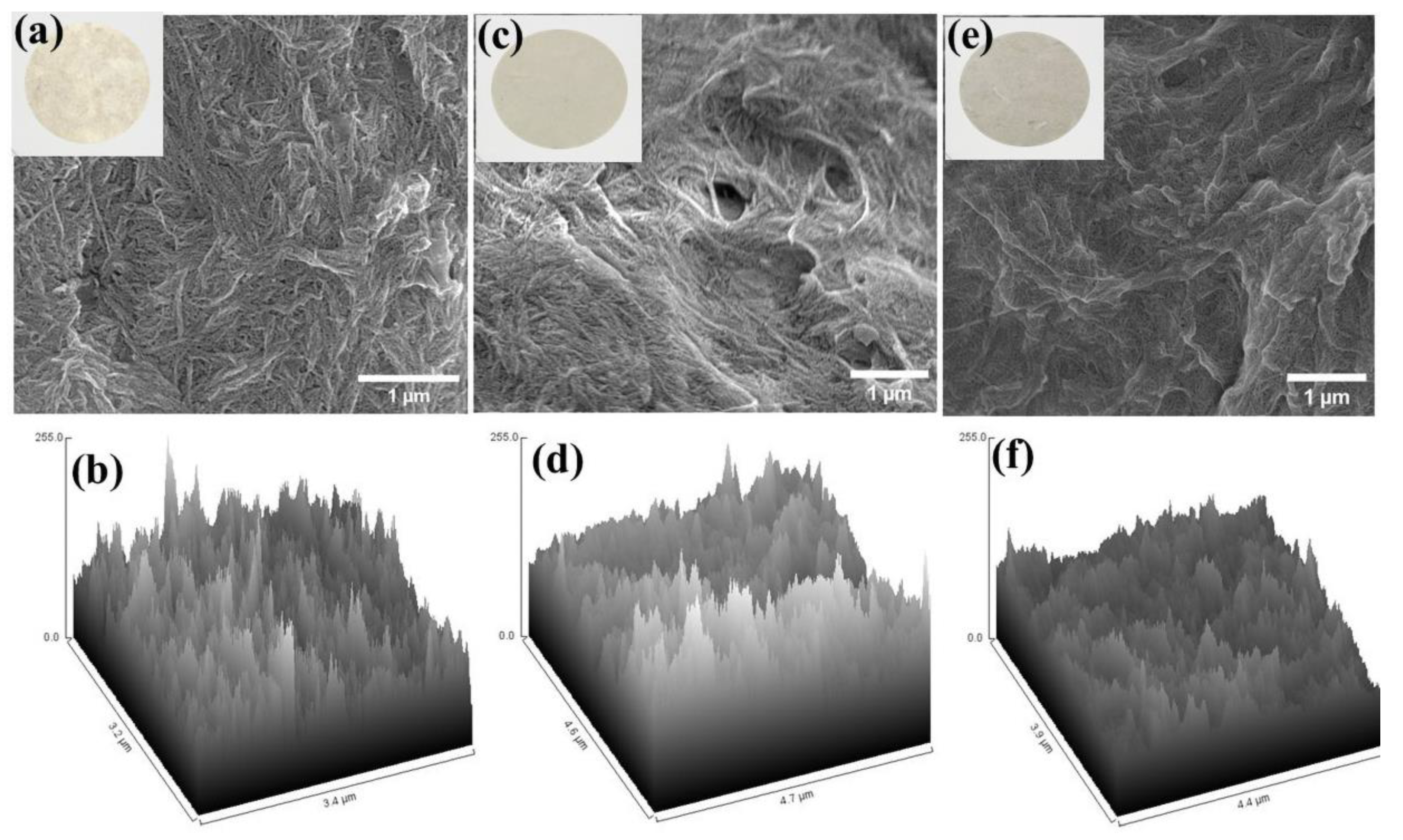 Ijms 24 06030 g005 Ijms 24 06030 g005