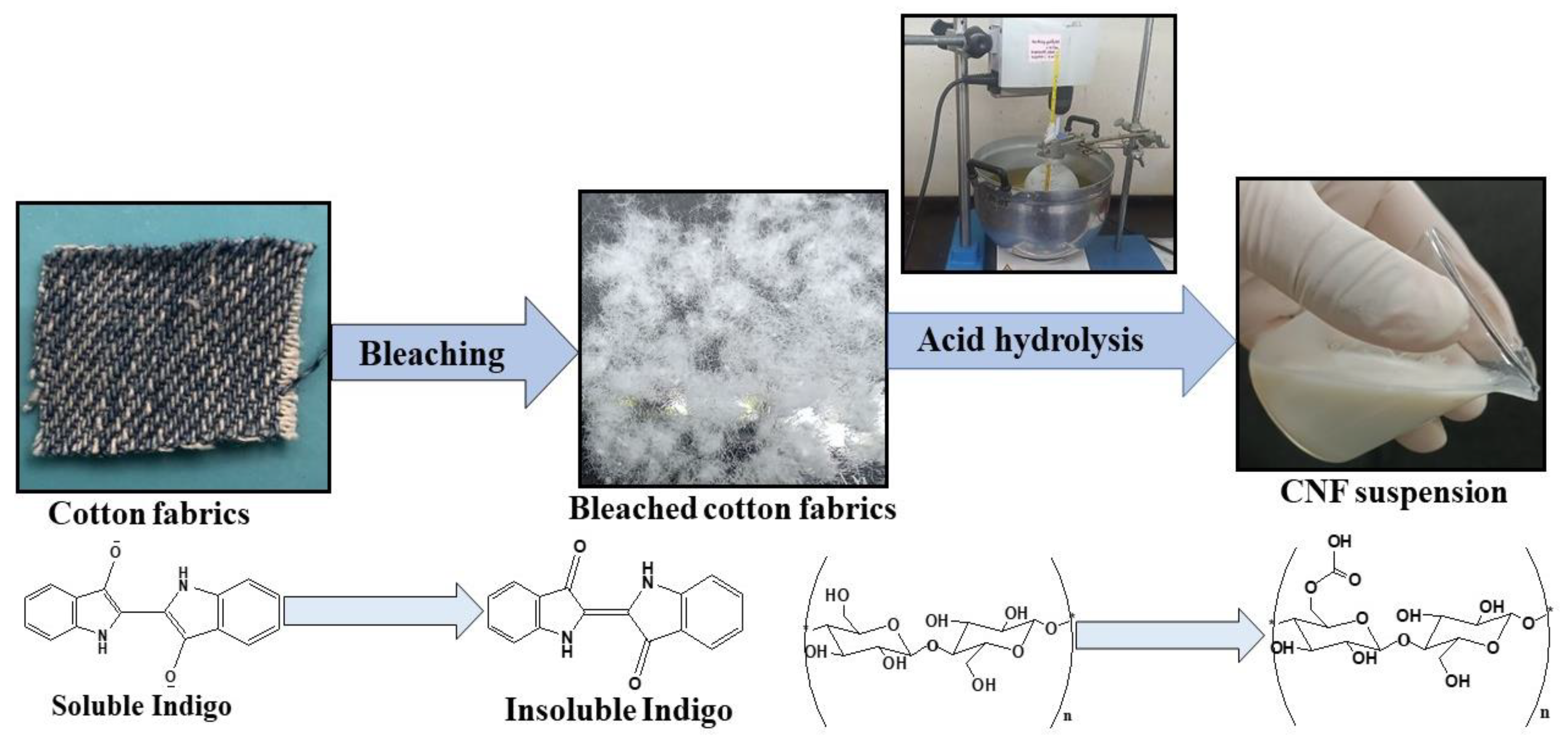 Ijms 24 06030 g008 Ijms 24 06030 g008