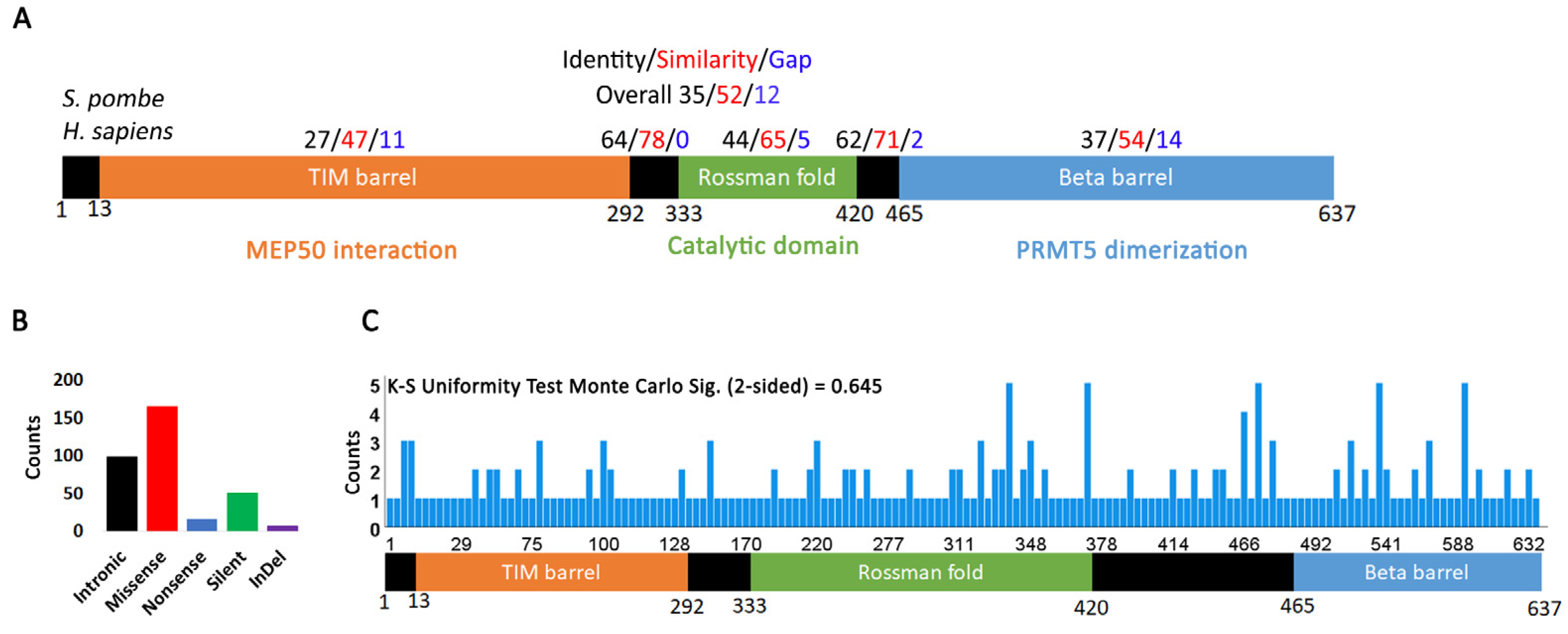 Ijms 24 06042 g001 Ijms 24 06042 g001