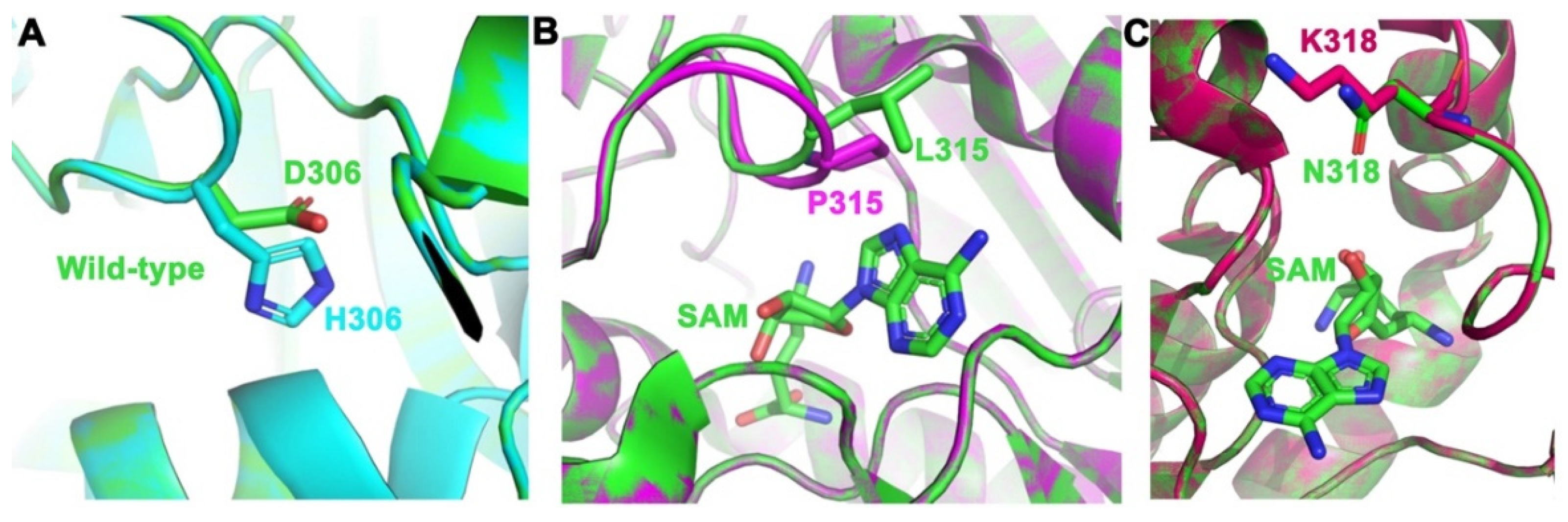 Ijms 24 06042 g004 Ijms 24 06042 g004