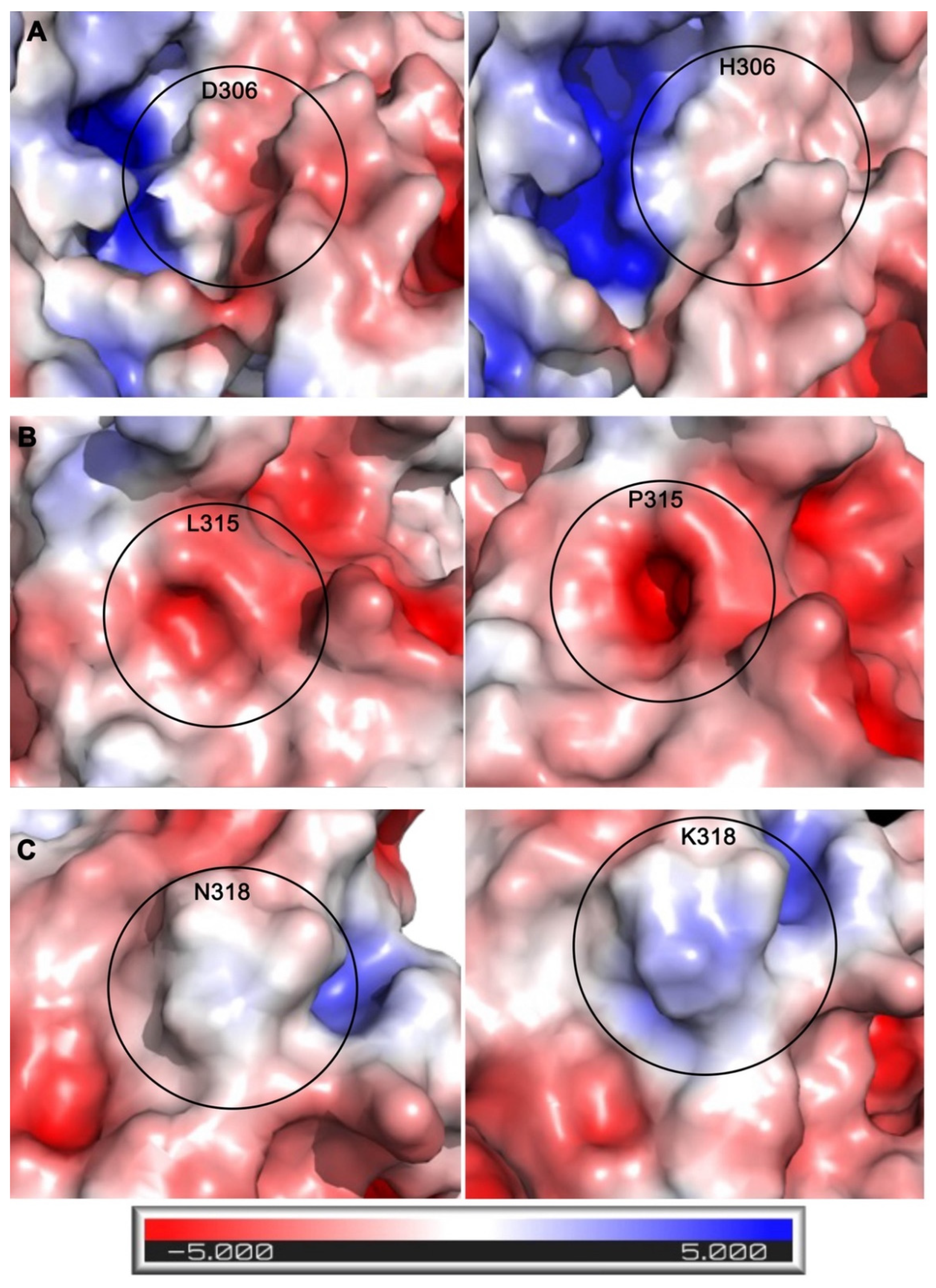 Ijms 24 06042 g005 Ijms 24 06042 g005