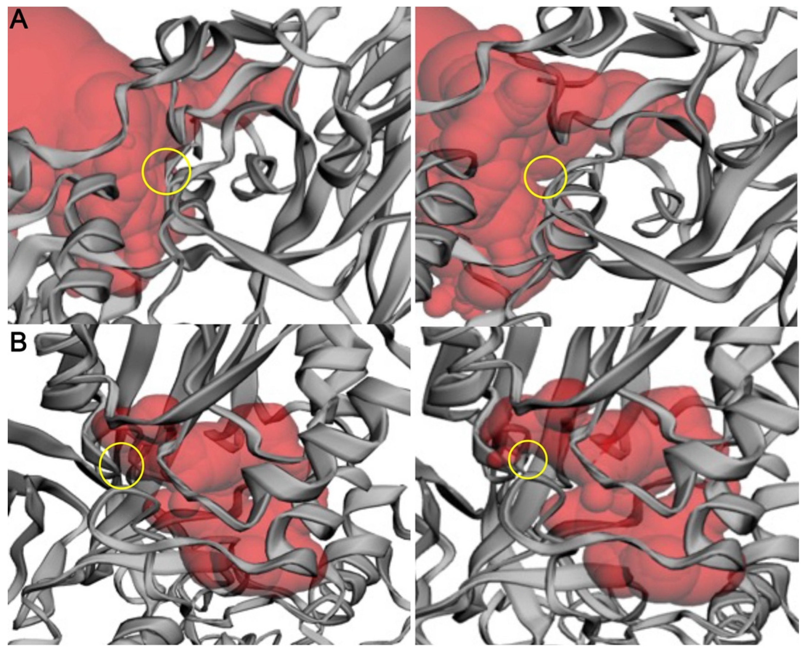 Ijms 24 06042 g006 Ijms 24 06042 g006