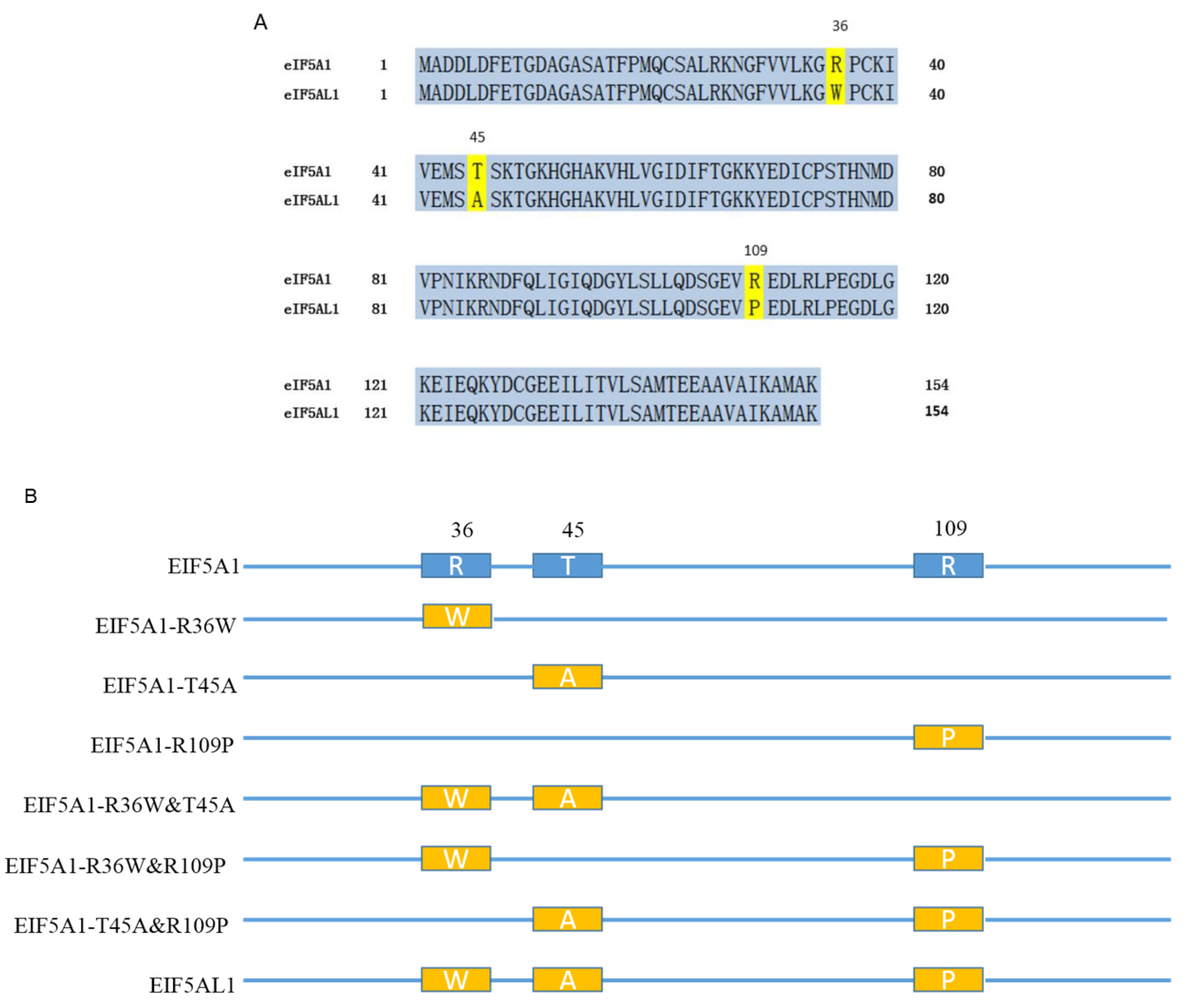 Ijms 24 06067 g003