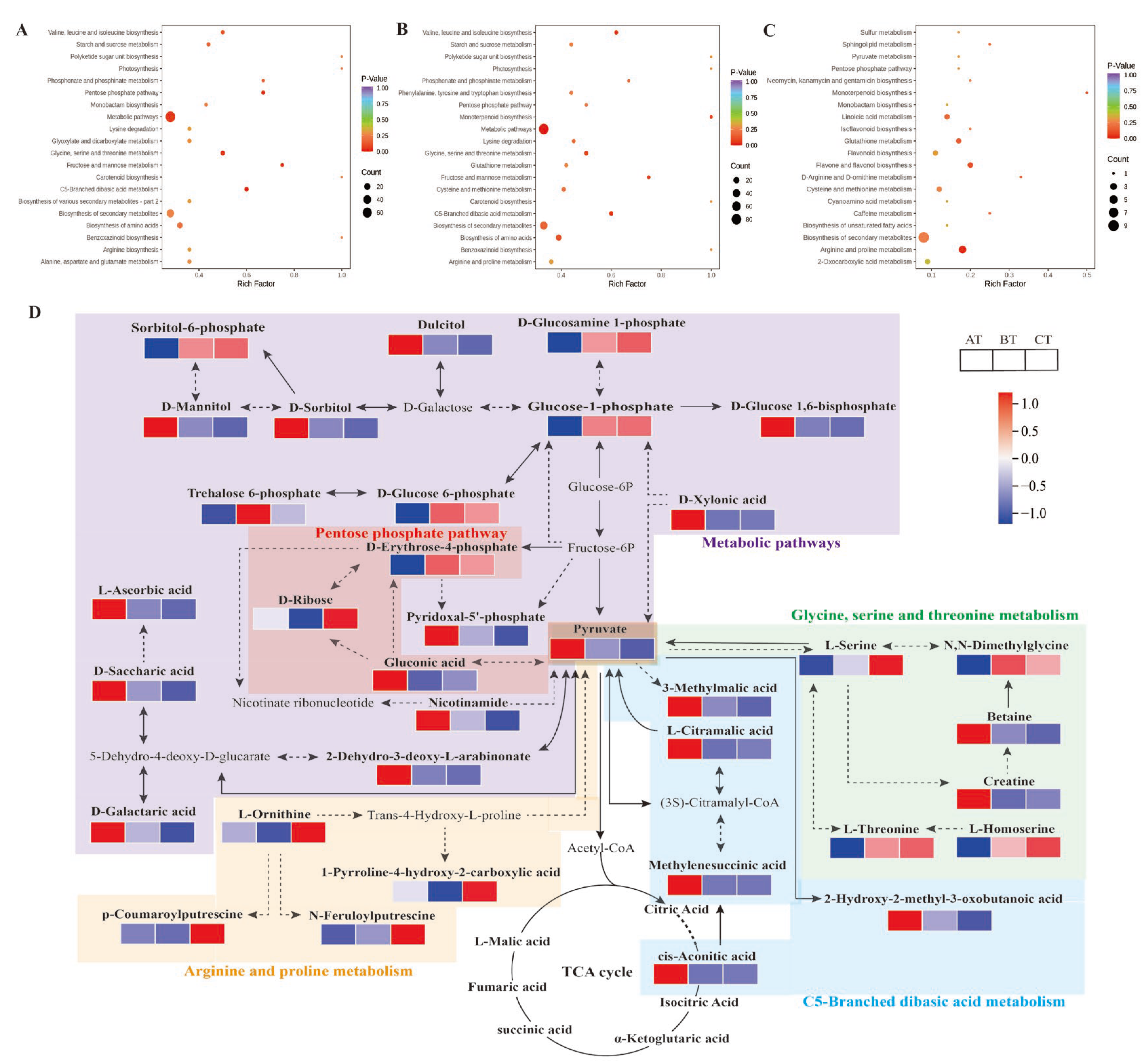 Ijms 24 06077 g005 Ijms 24 06077 g005