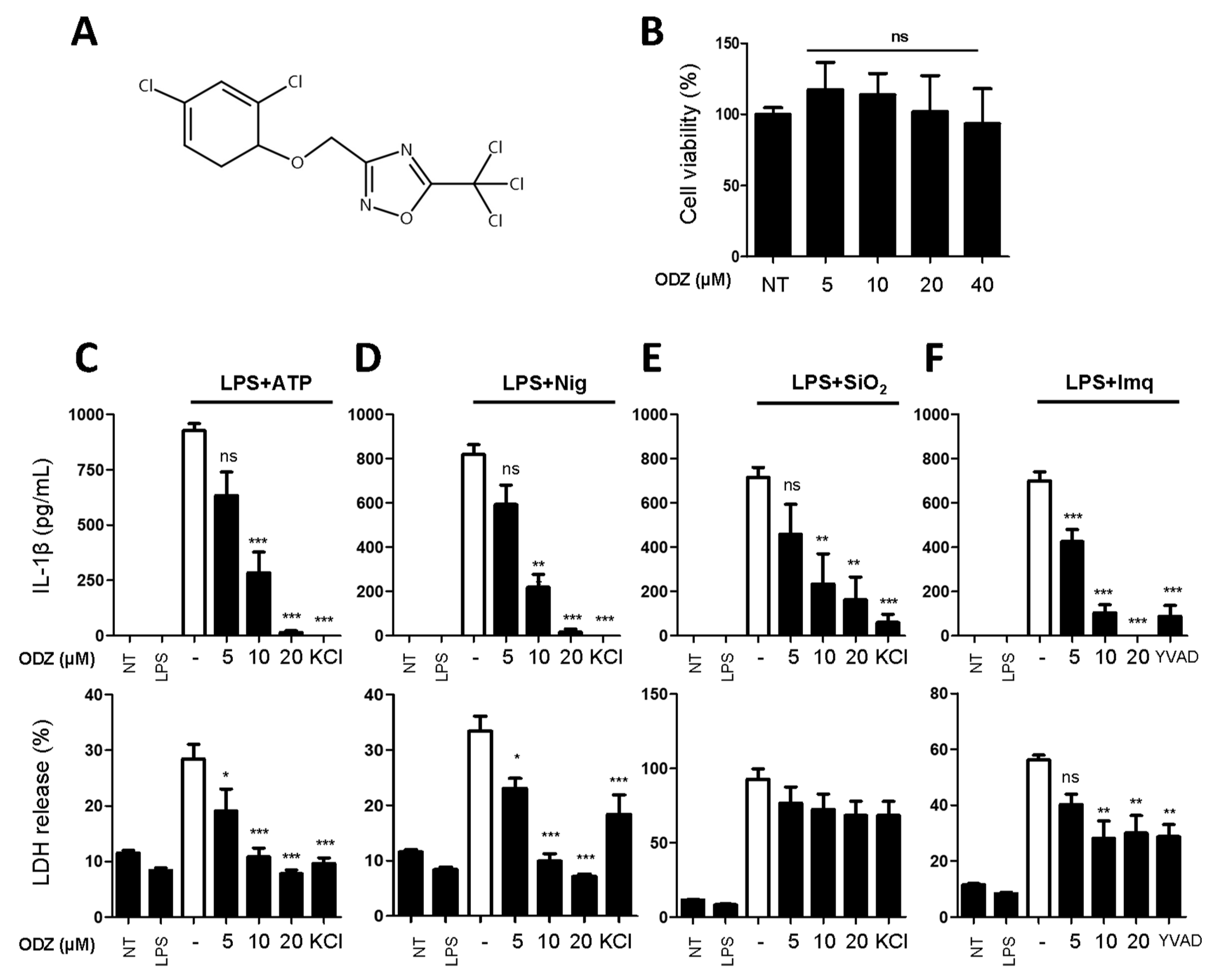Ijms 24 06079 g001 Ijms 24 06079 g001