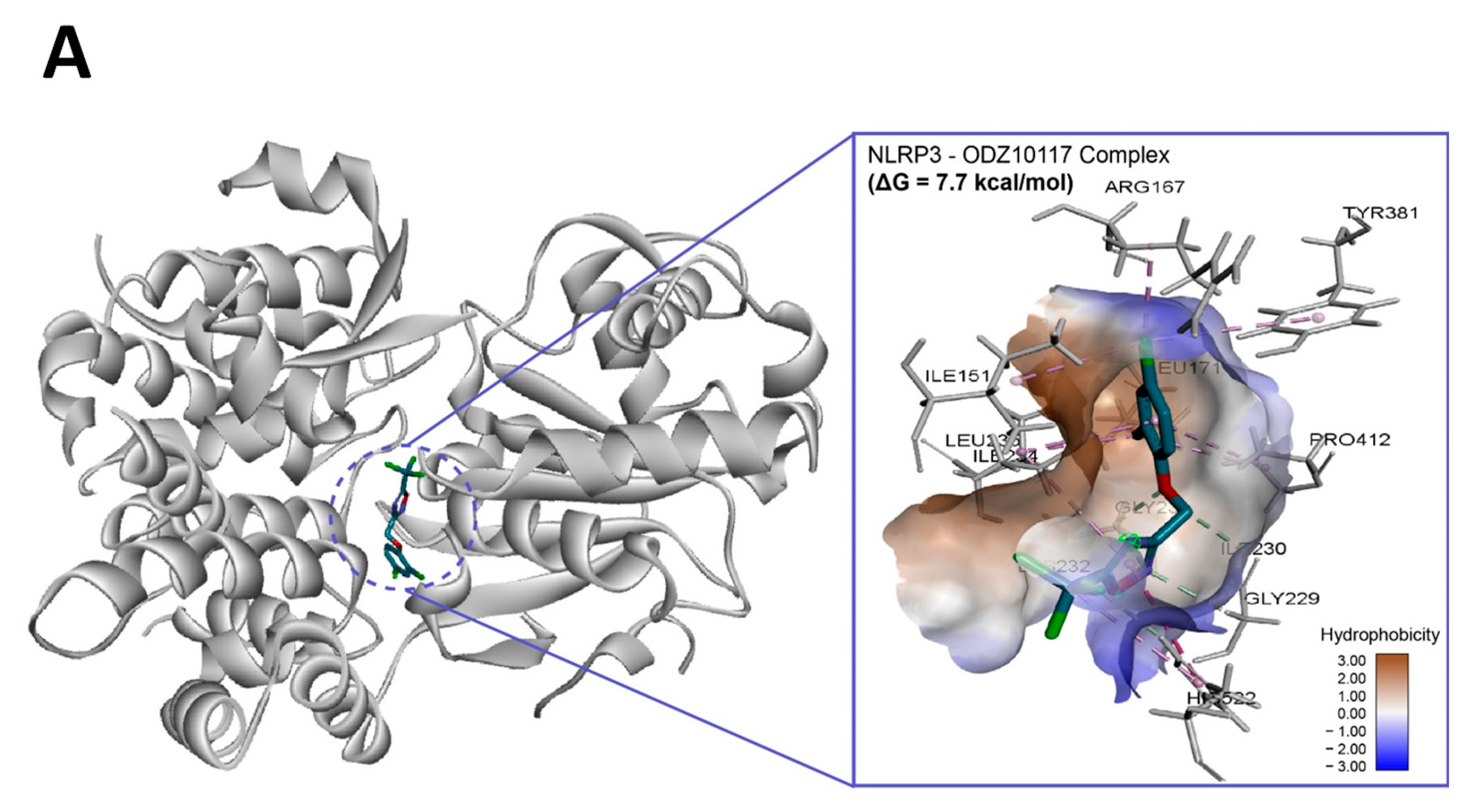 Ijms 24 06079 g007a Ijms 24 06079 g007a