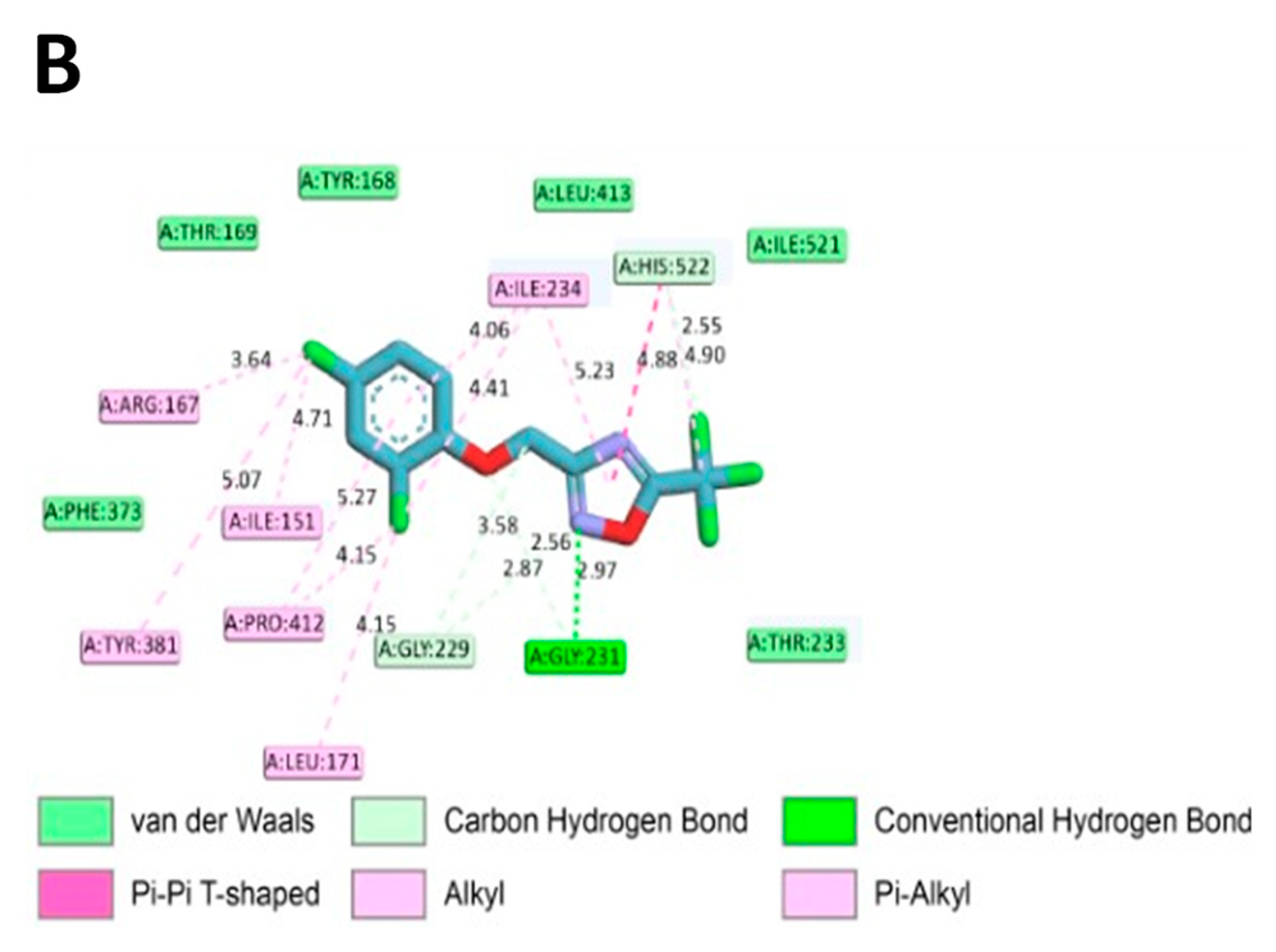 Ijms 24 06079 g007b Ijms 24 06079 g007b