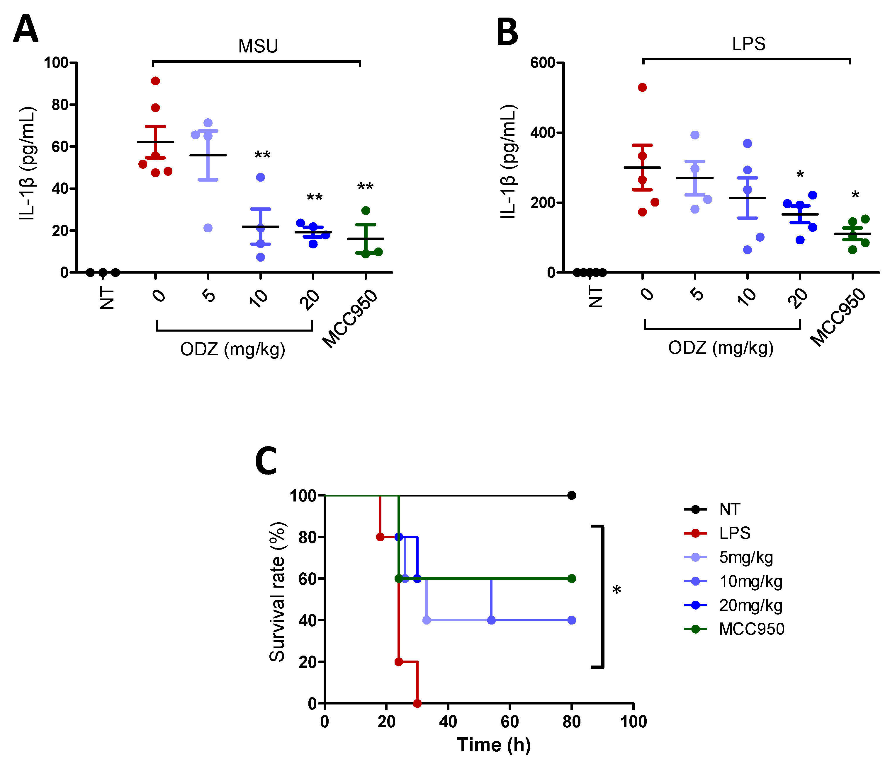 Ijms 24 06079 g008 Ijms 24 06079 g008