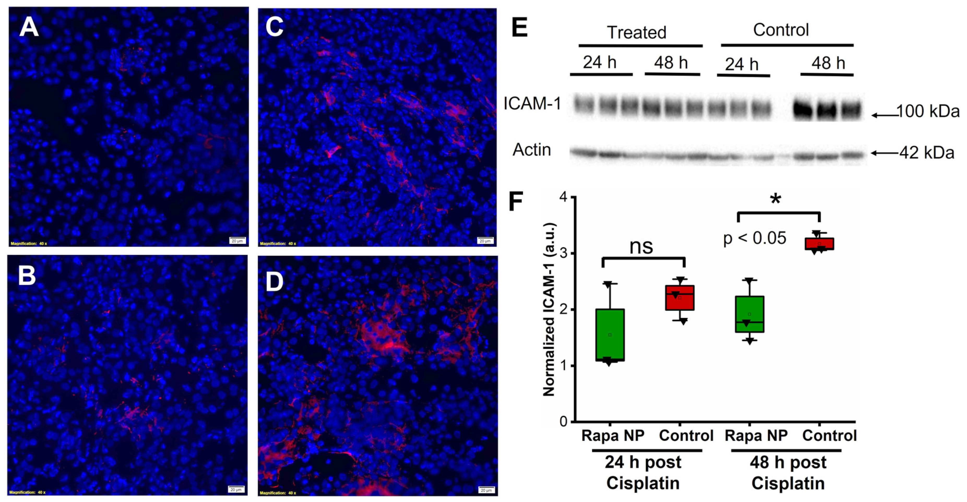 Ijms 24 06086 g004 Ijms 24 06086 g004