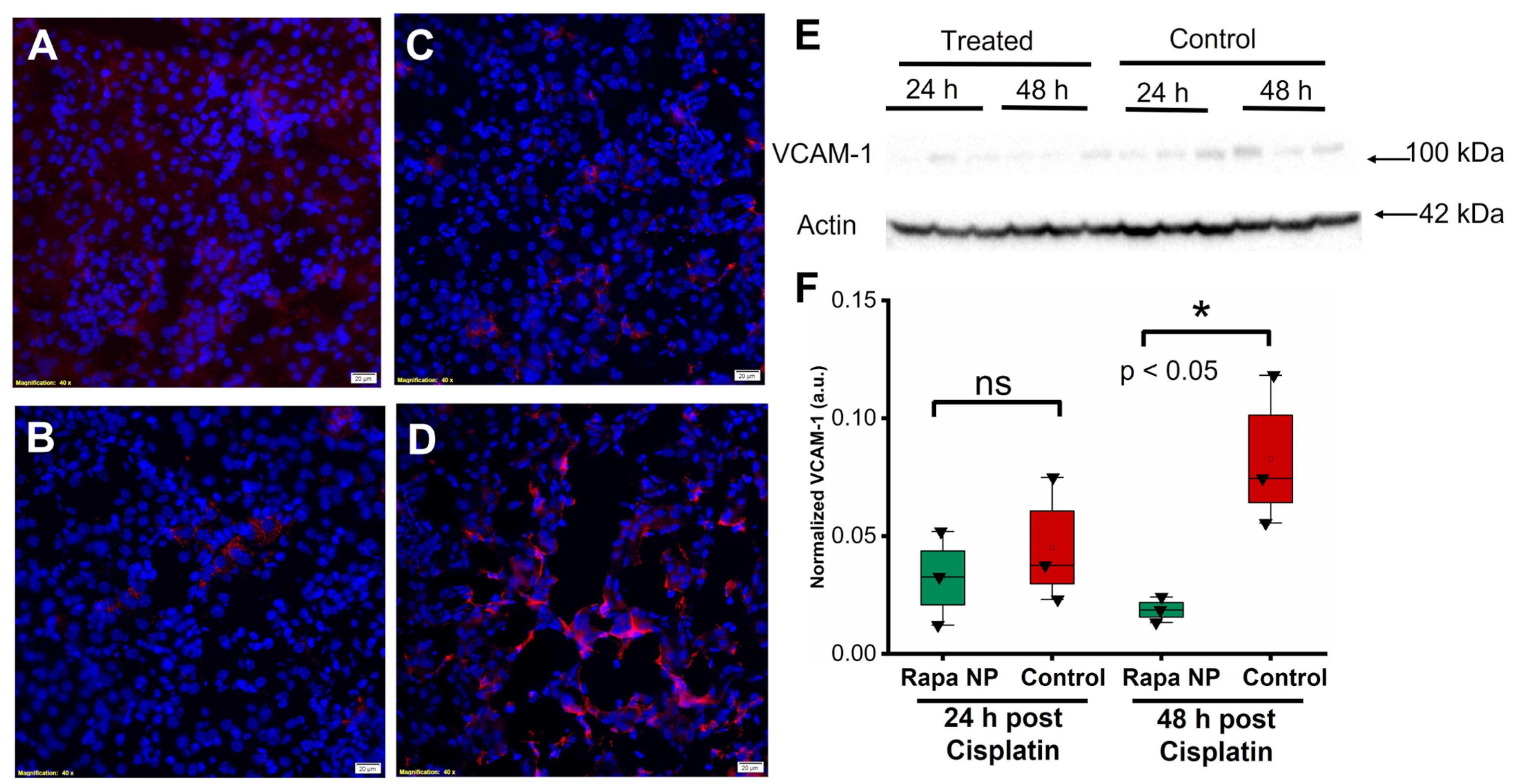 Ijms 24 06086 g005 Ijms 24 06086 g005