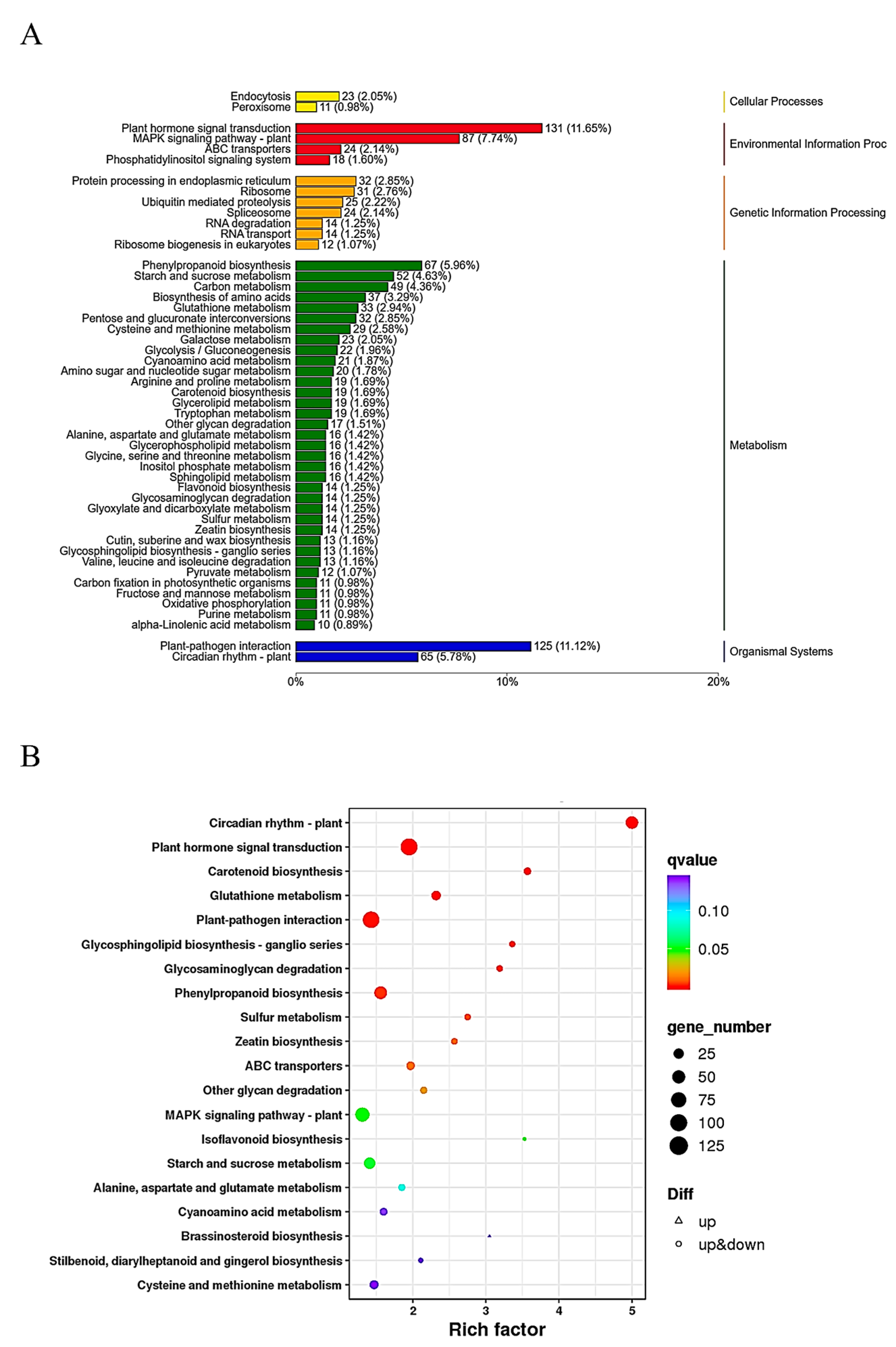 Ijms 24 06115 g003 Ijms 24 06115 g003