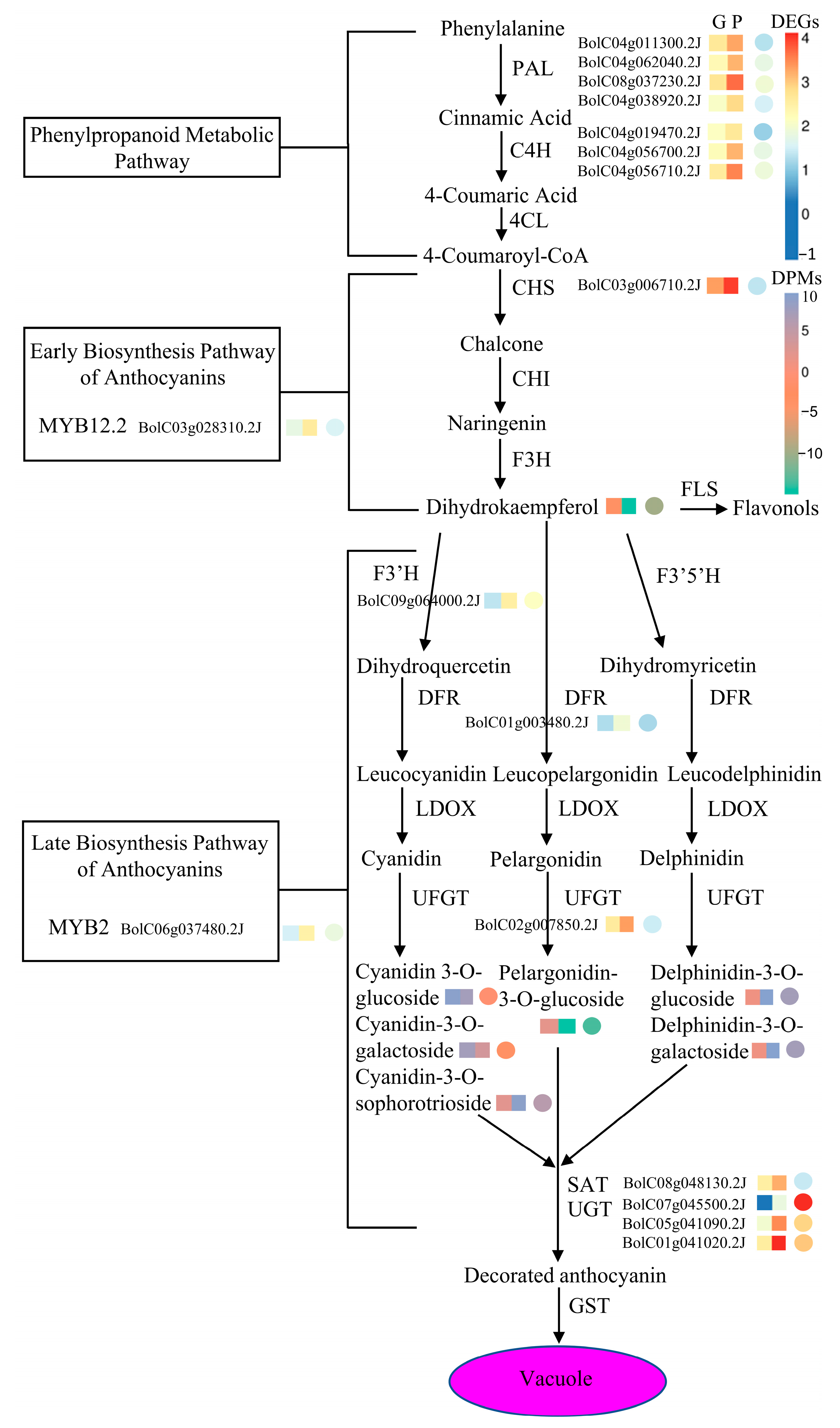 Ijms 24 06115 g006 Ijms 24 06115 g006