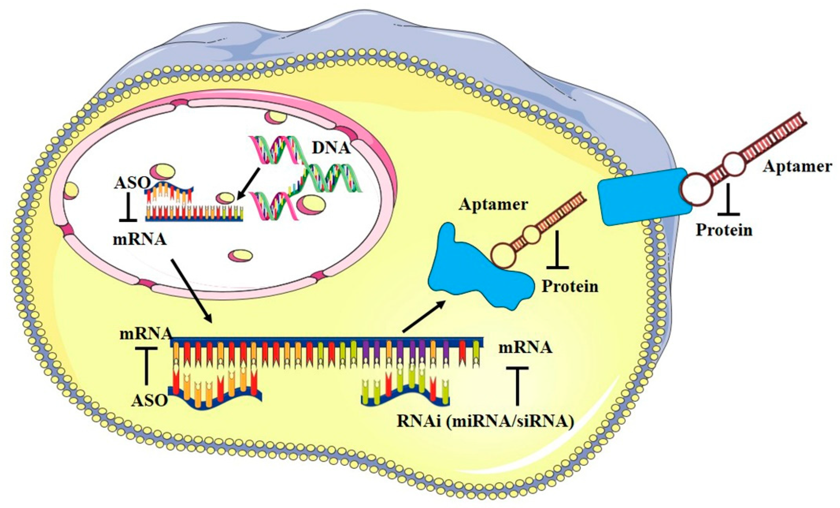 Ijms 24 06121 g001 Ijms 24 06121 g001