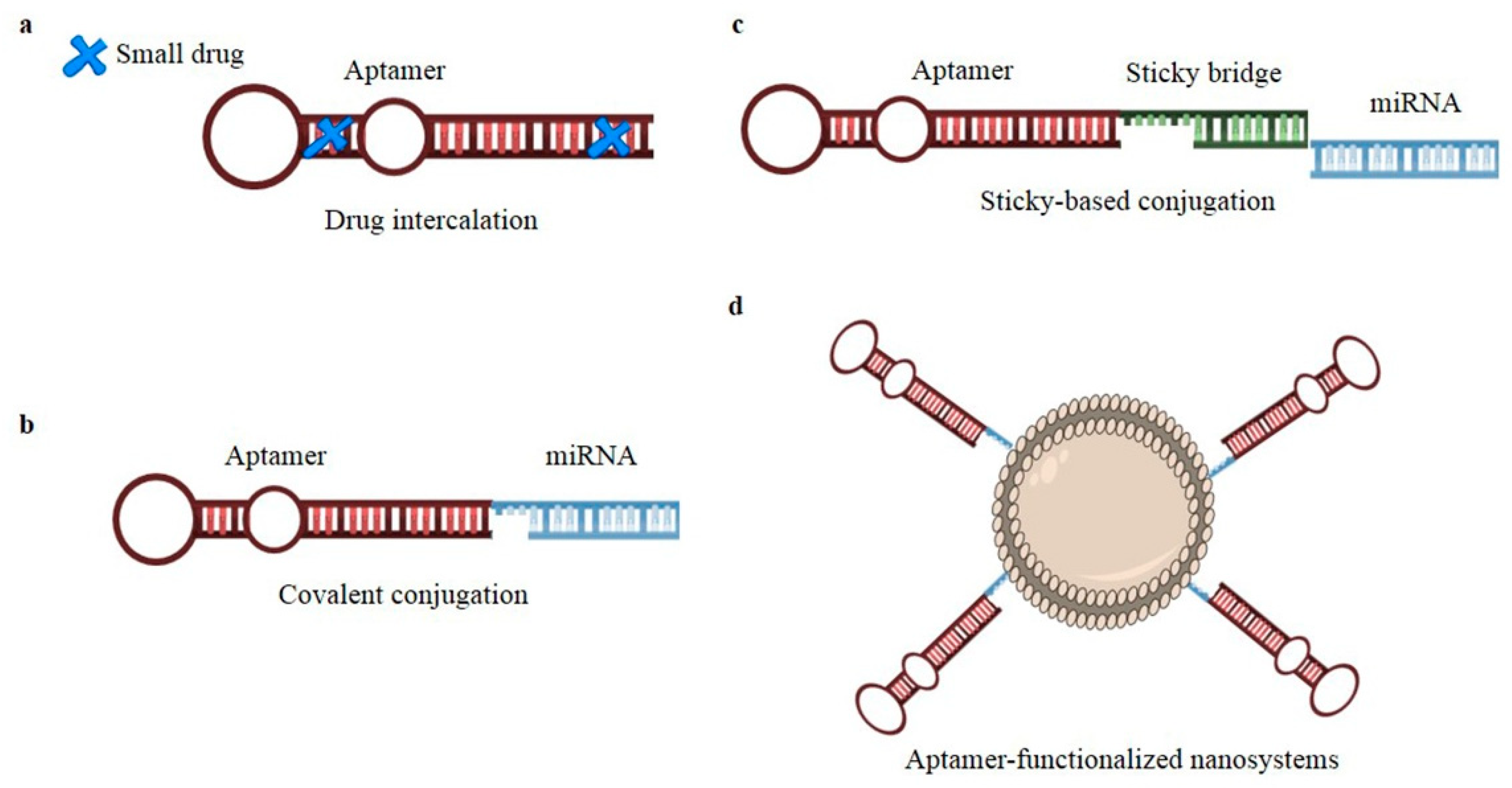 Ijms 24 06121 g004 Ijms 24 06121 g004