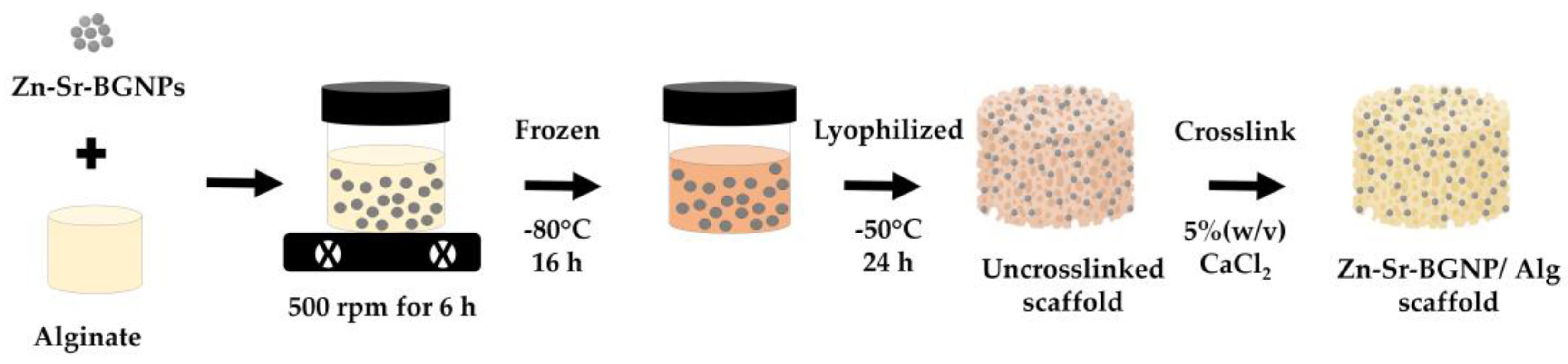 Ijms 24 06150 sch002