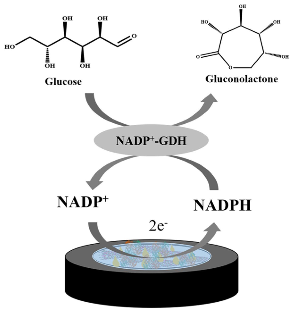 Ijms 24 06152 sch001