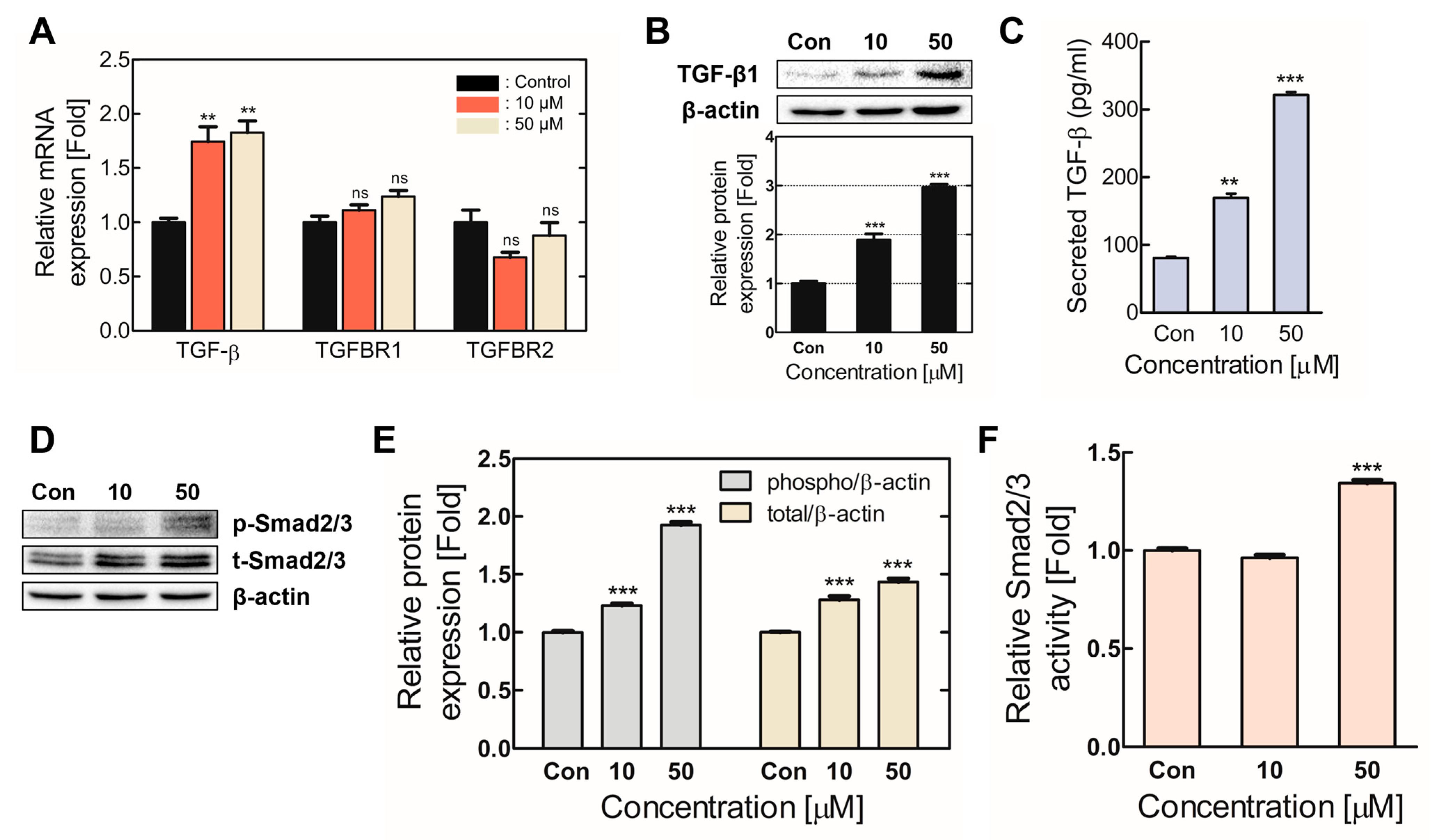 Ijms 24 06157 g004 Ijms 24 06157 g004