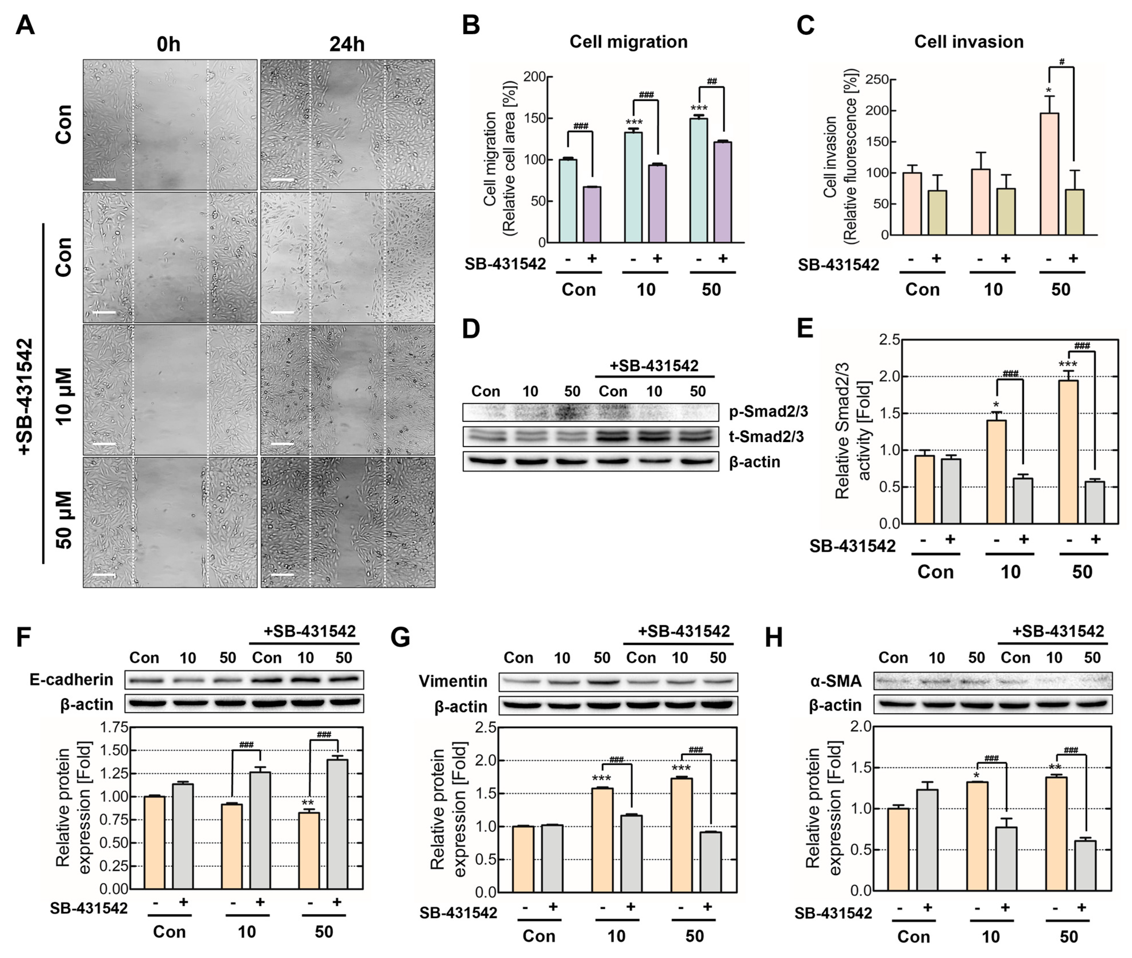 Ijms 24 06157 g005 Ijms 24 06157 g005