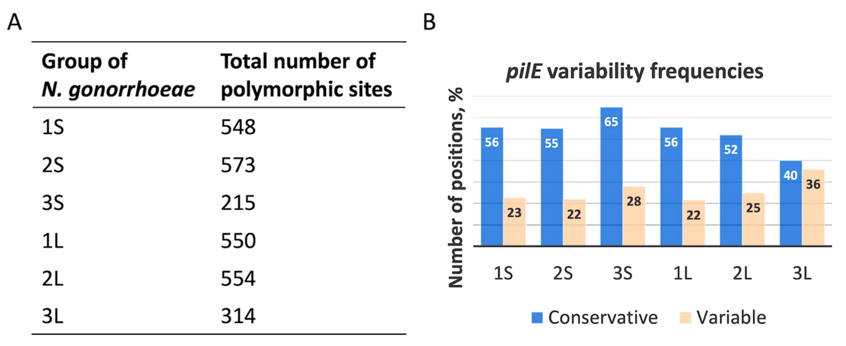 Ijms 24 06167 g001 Ijms 24 06167 g001