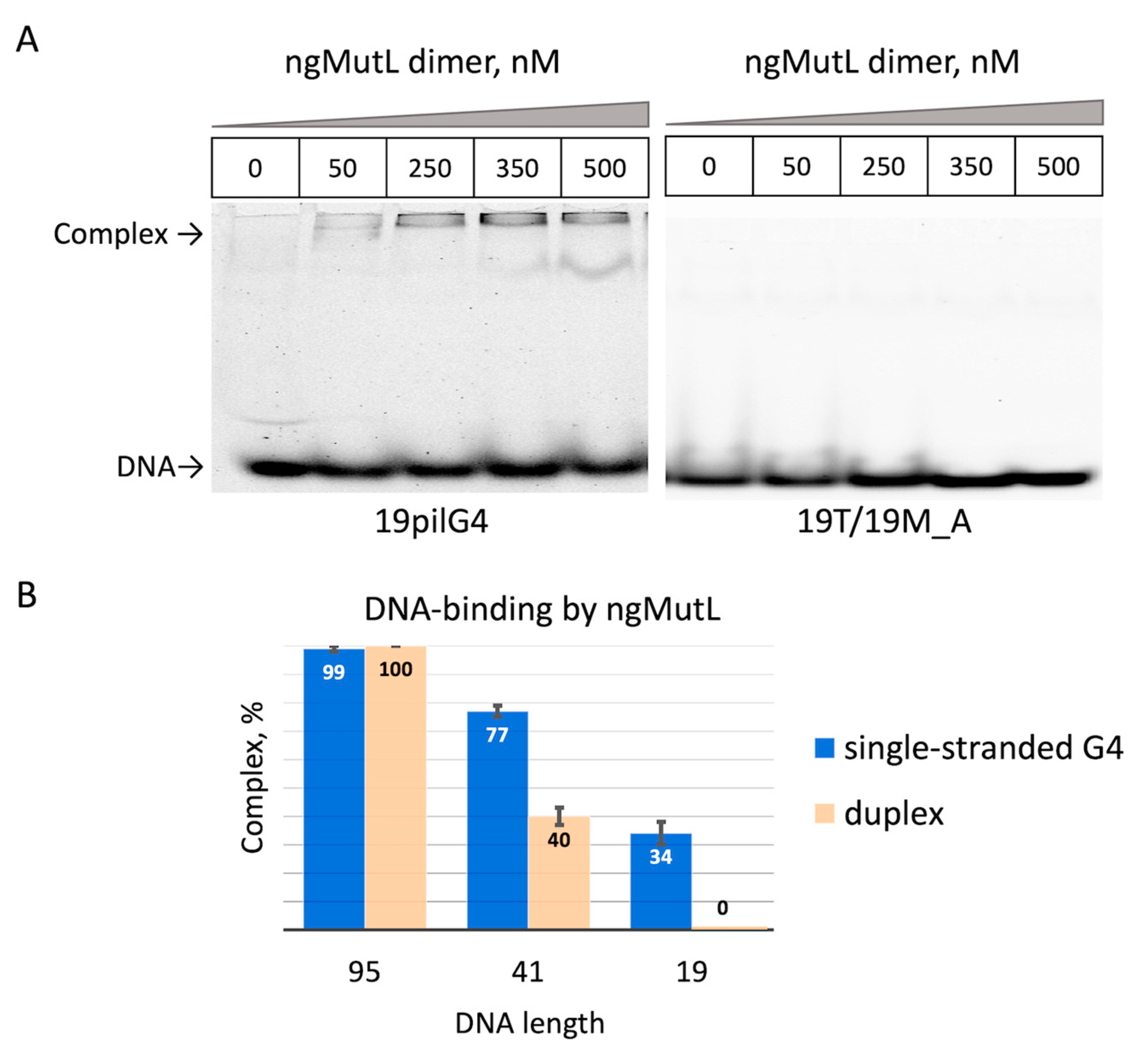 Ijms 24 06167 g006 Ijms 24 06167 g006