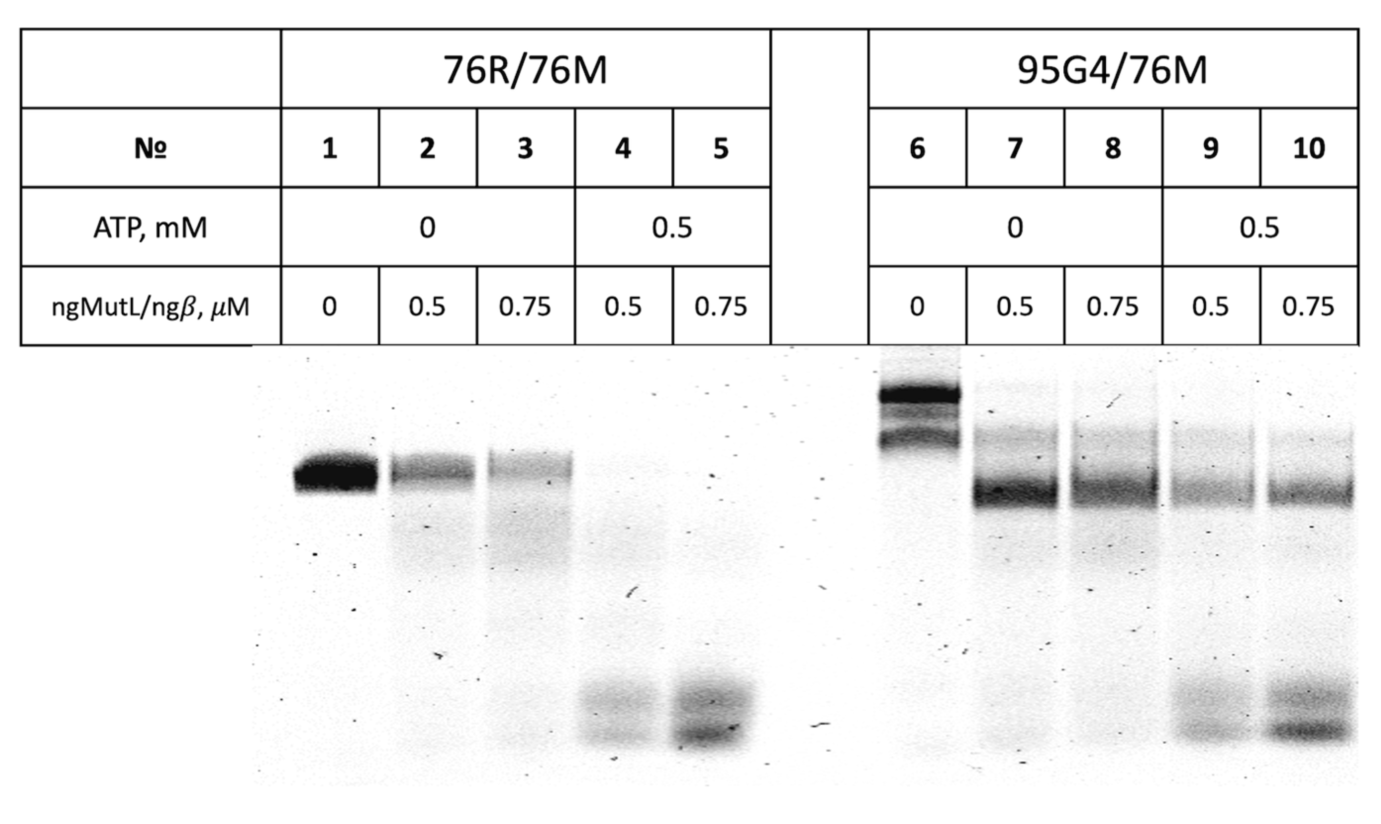 Ijms 24 06167 g009 Ijms 24 06167 g009