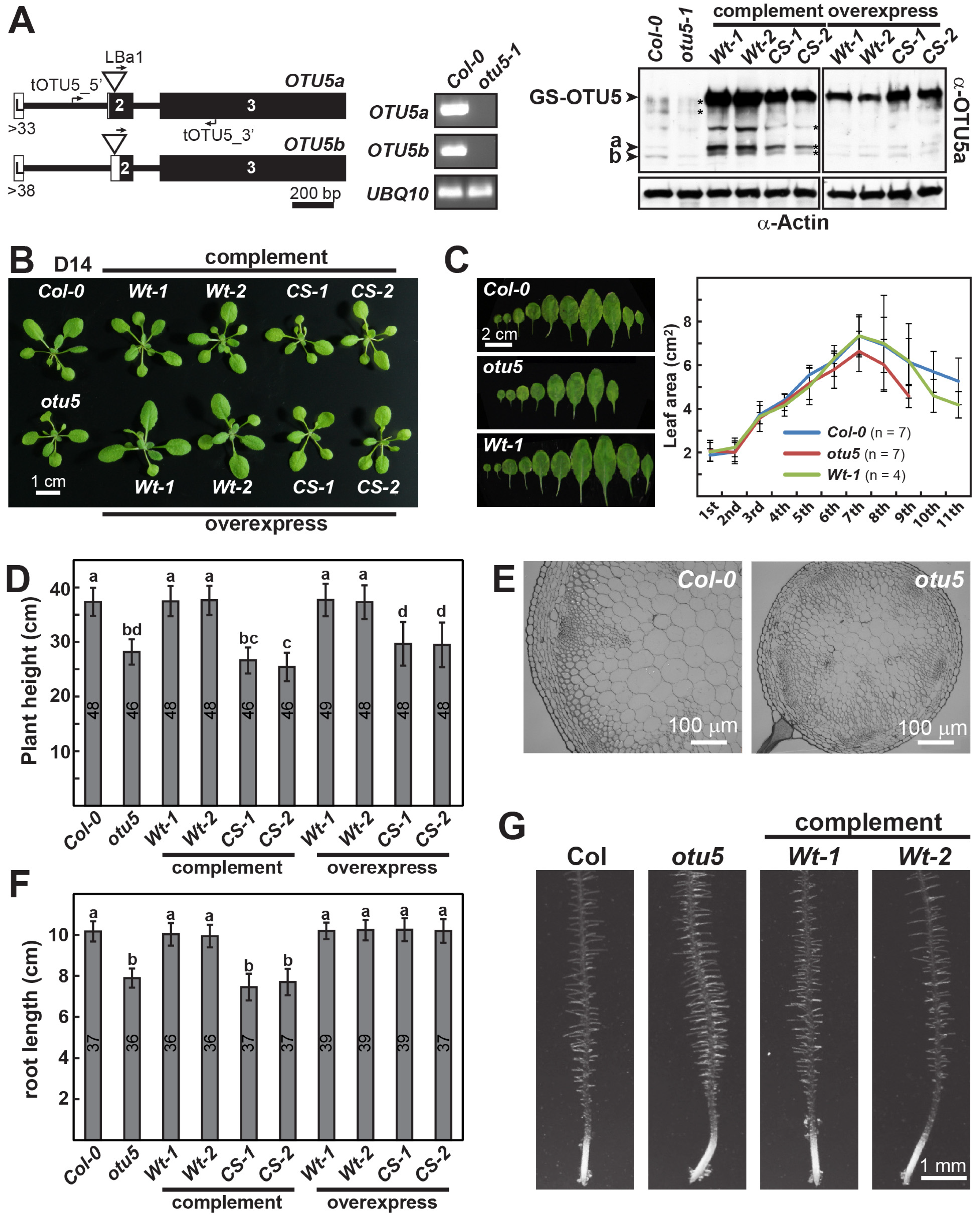 Ijms 24 06176 g001 Ijms 24 06176 g001