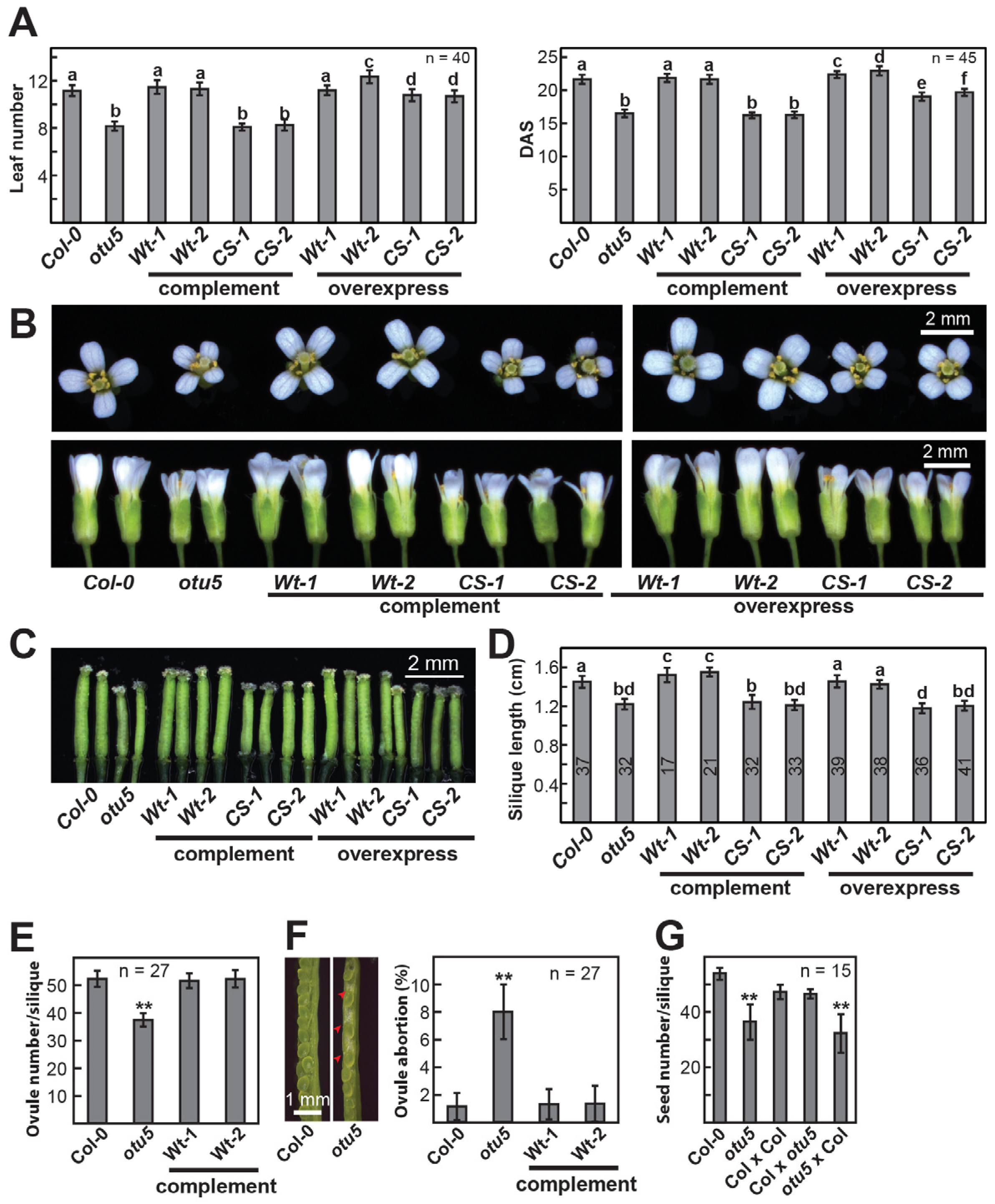 Ijms 24 06176 g002 Ijms 24 06176 g002