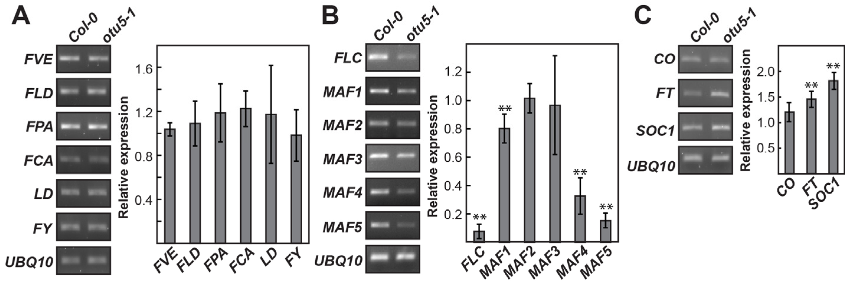 Ijms 24 06176 g003 Ijms 24 06176 g003