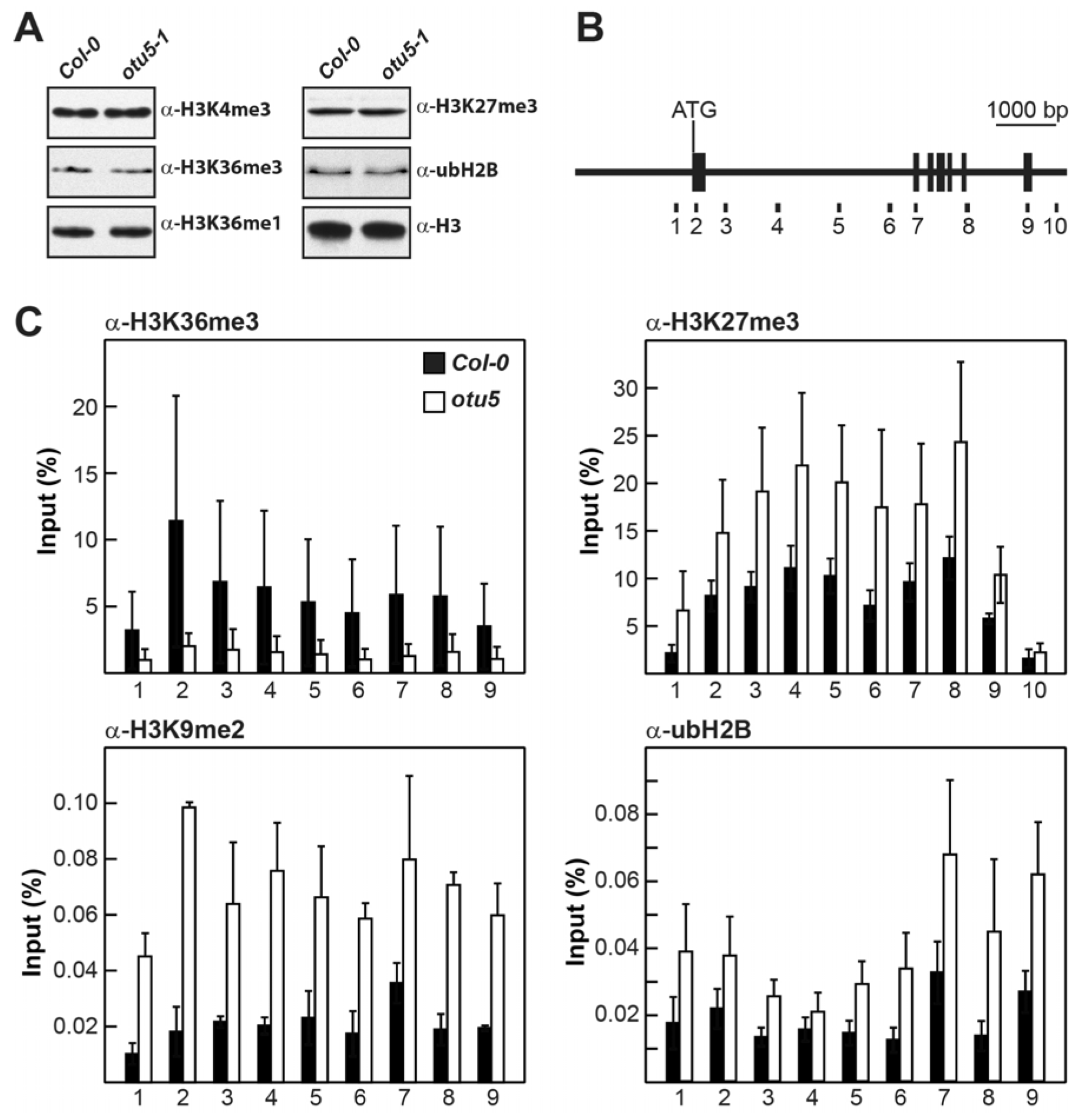 Ijms 24 06176 g004 Ijms 24 06176 g004