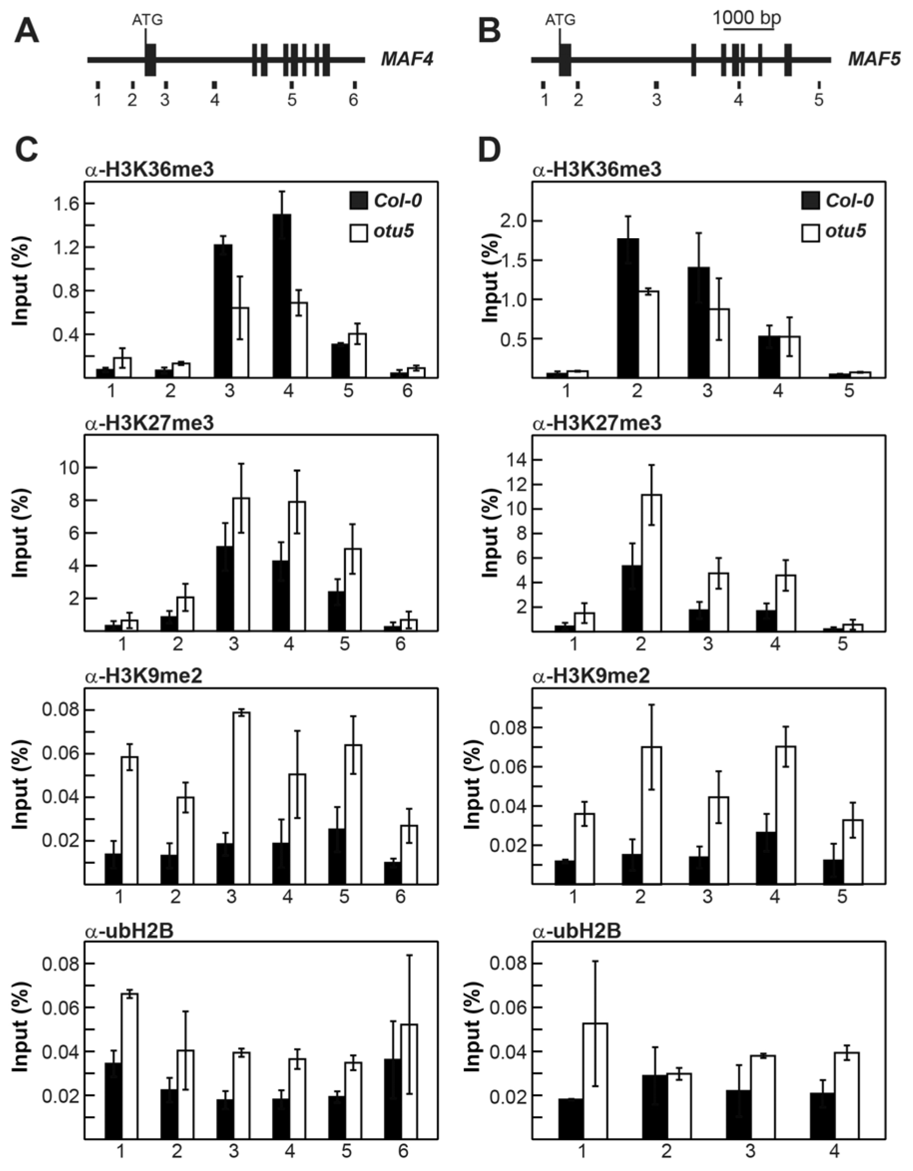 Ijms 24 06176 g005 Ijms 24 06176 g005