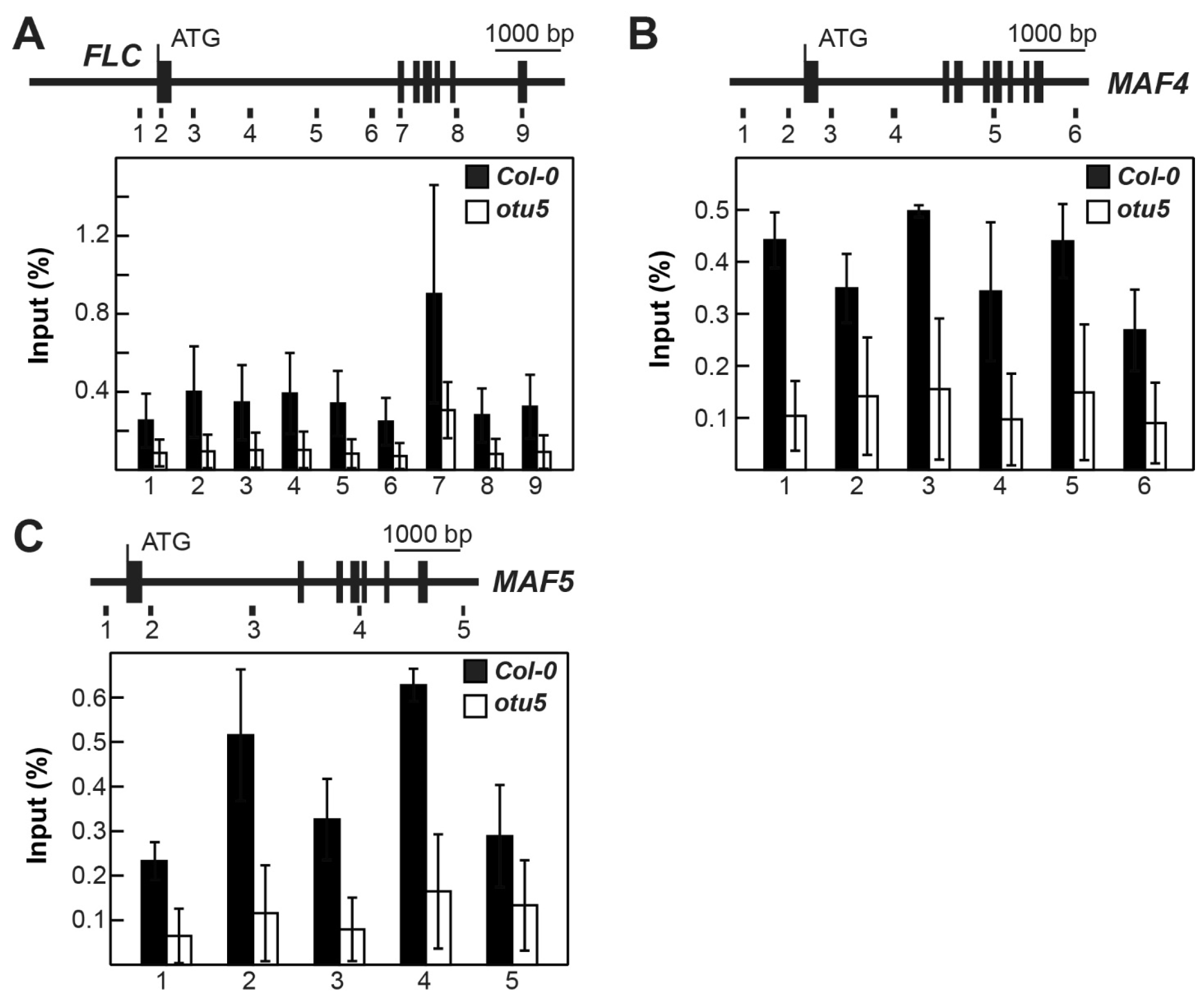 Ijms 24 06176 g007 Ijms 24 06176 g007