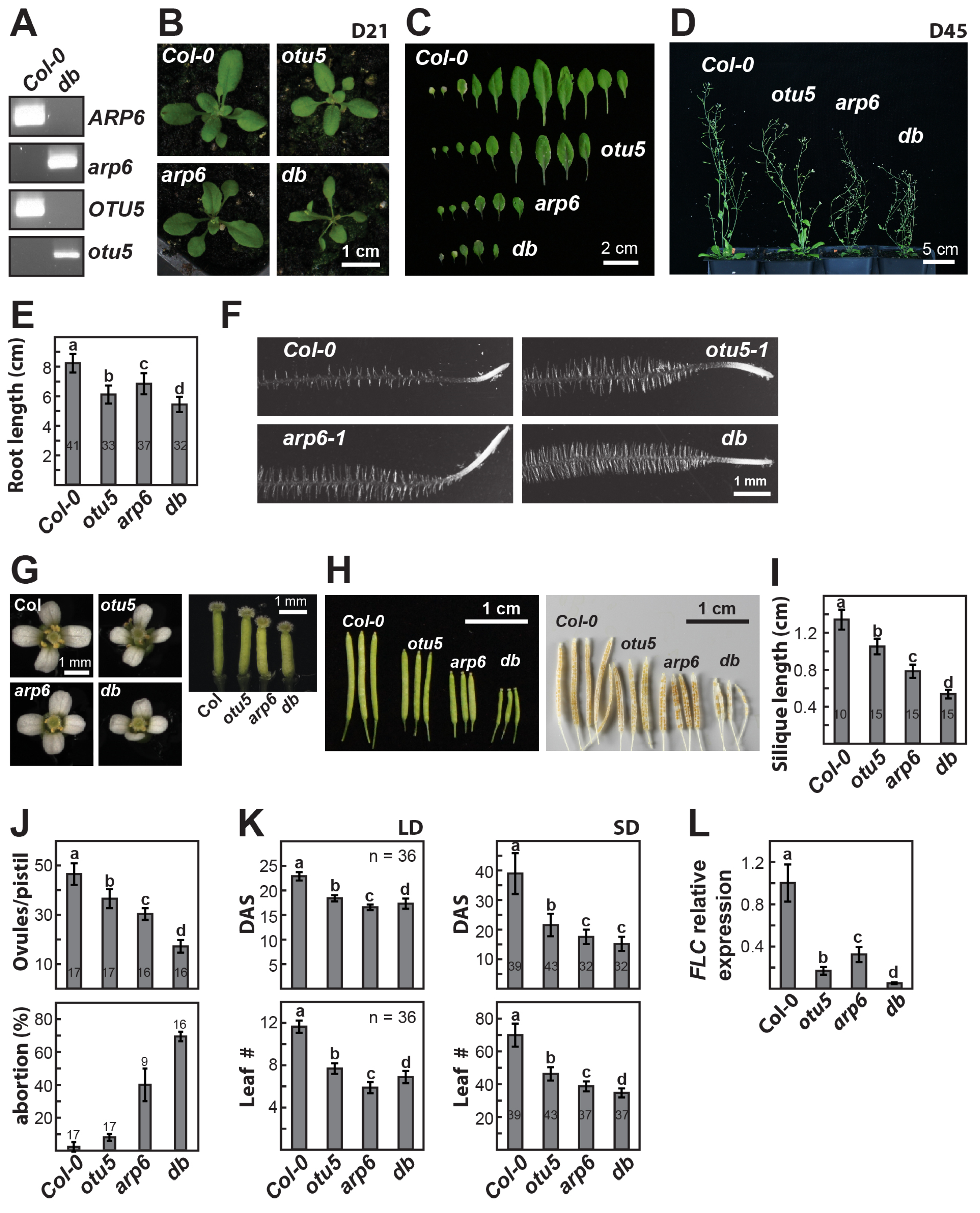 Ijms 24 06176 g009 Ijms 24 06176 g009