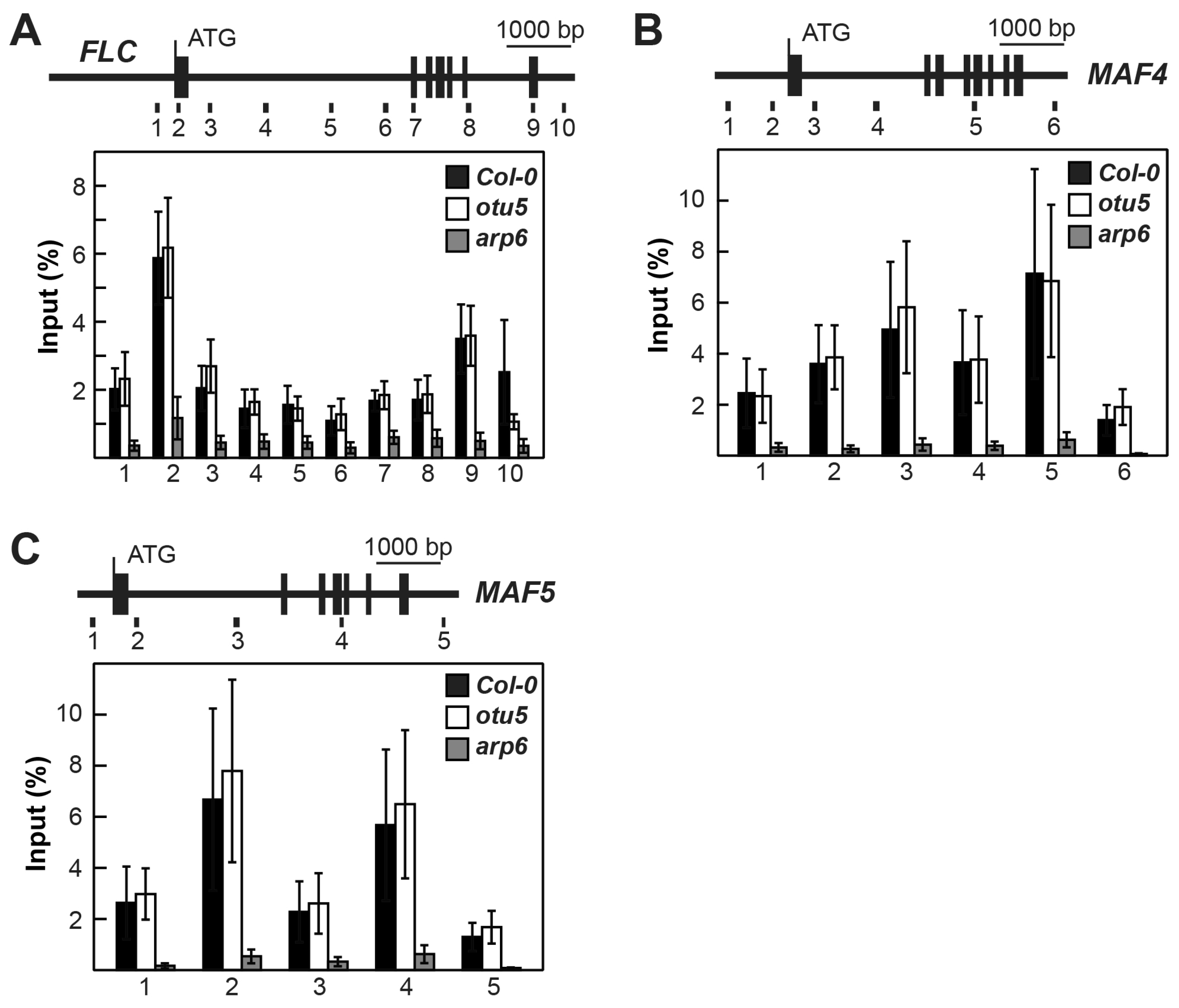 Ijms 24 06176 g010 Ijms 24 06176 g010